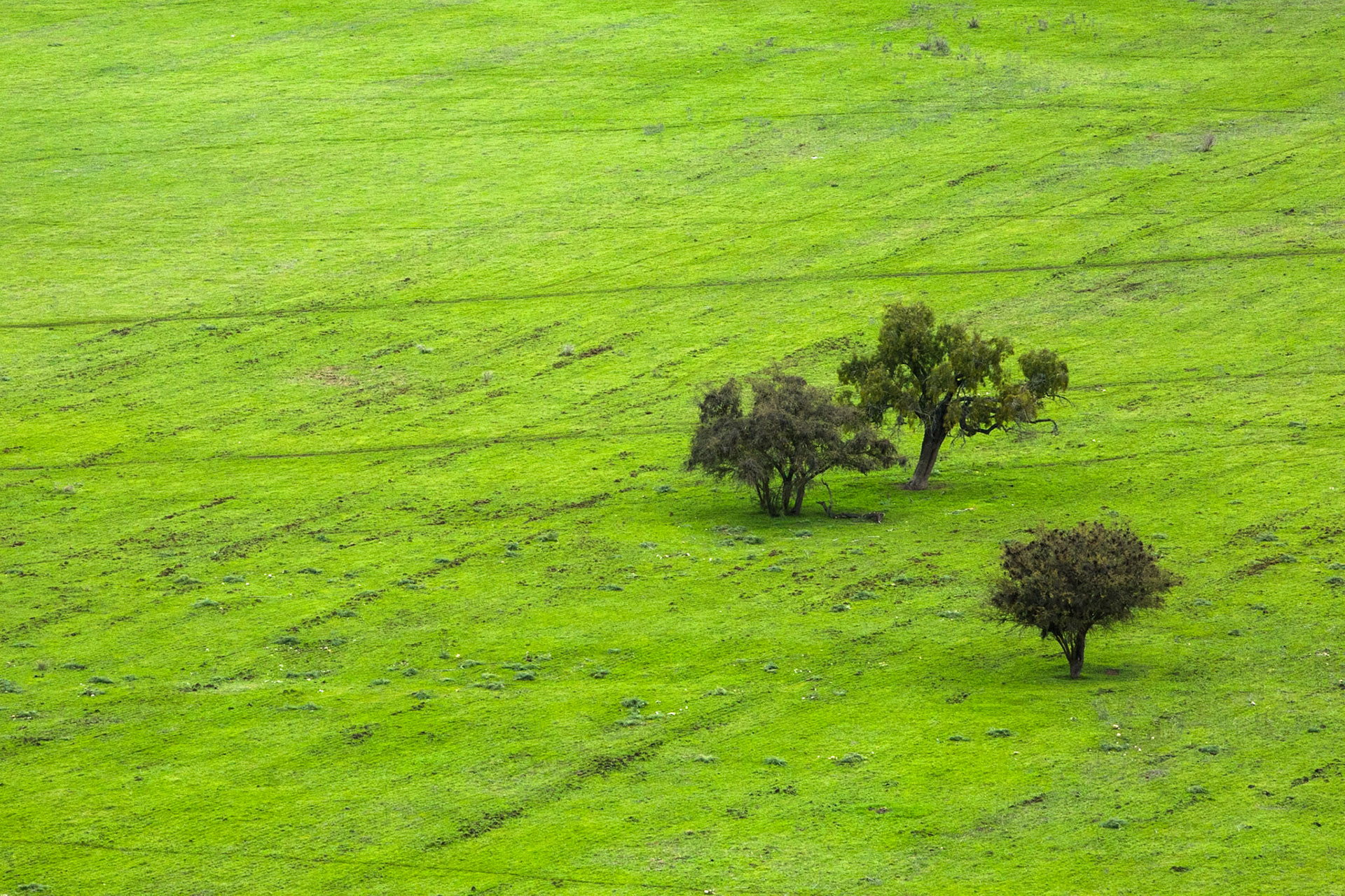 Matetic Winery, San Antonia (near Valparaiso), Chile