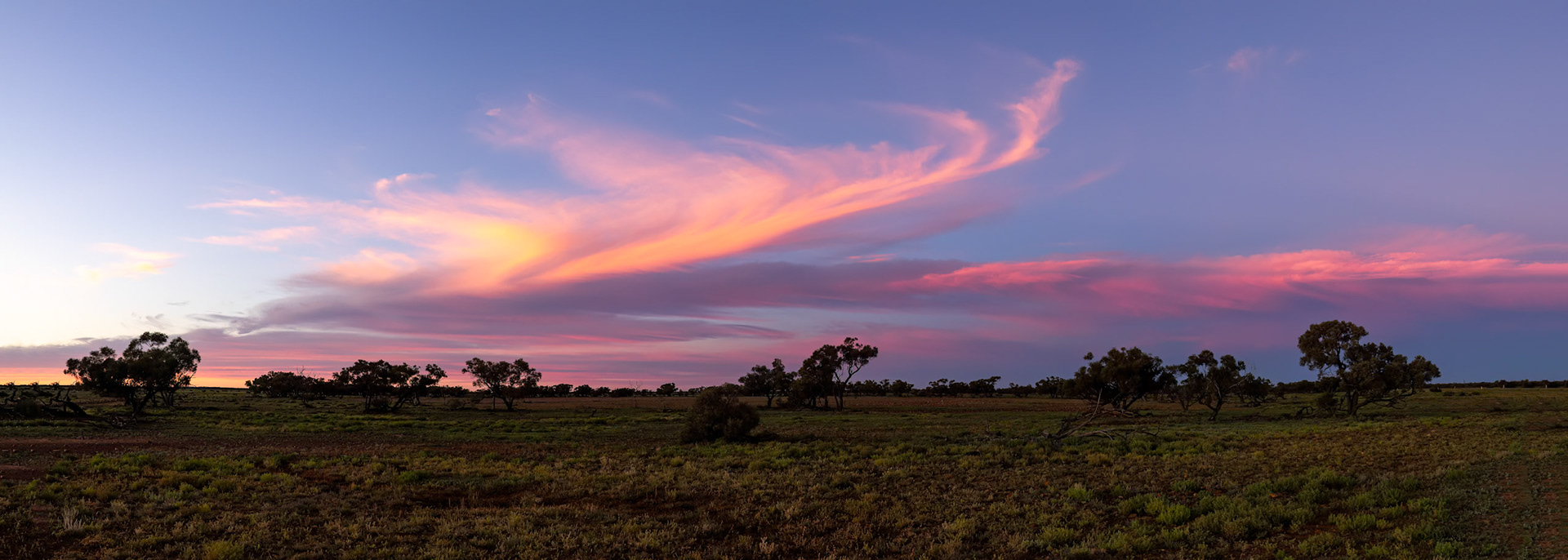 Landscape, Eromanga to Thargomindah, Queensland, Australia
