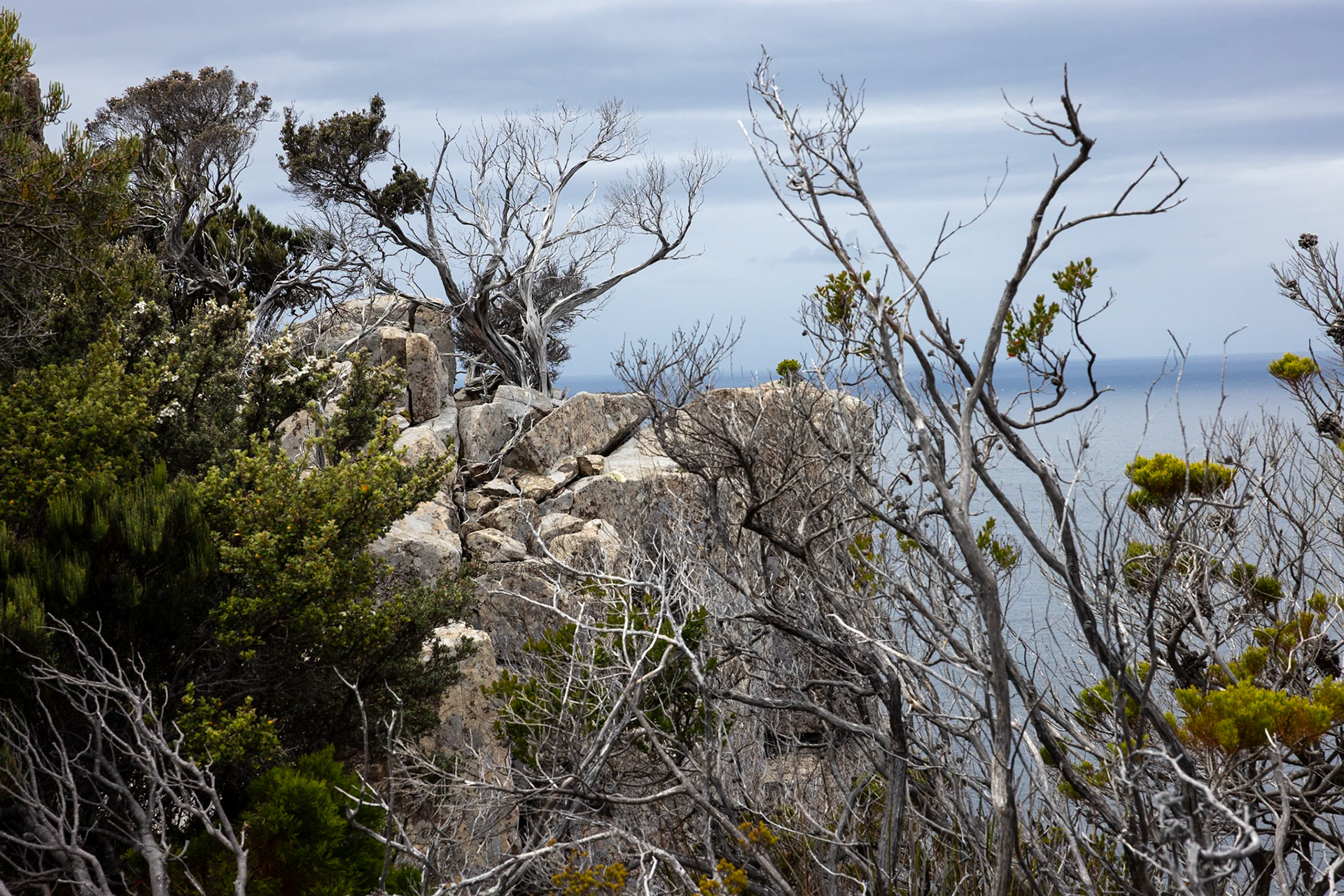 Three Capes Track, Cape Pillar Lodge to Cape Hauy and Fortescue Bay, Tasmania