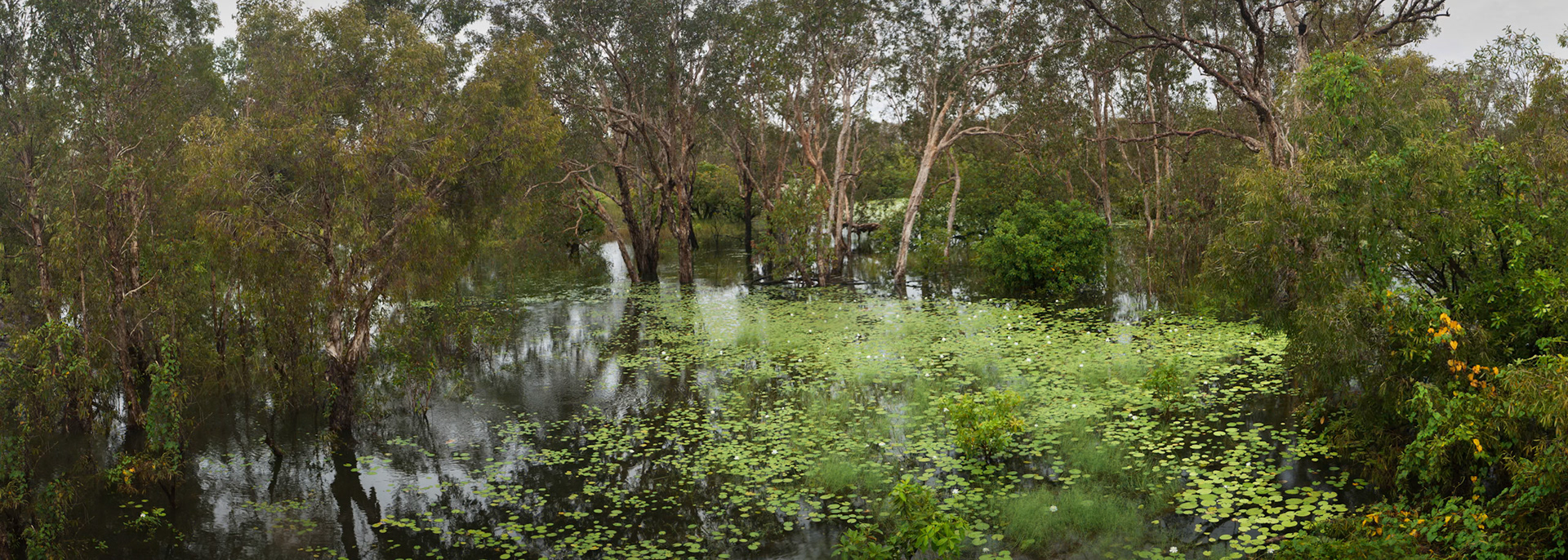 Wetlands and river en route from Kakadu to Litchfield, Northern Territory