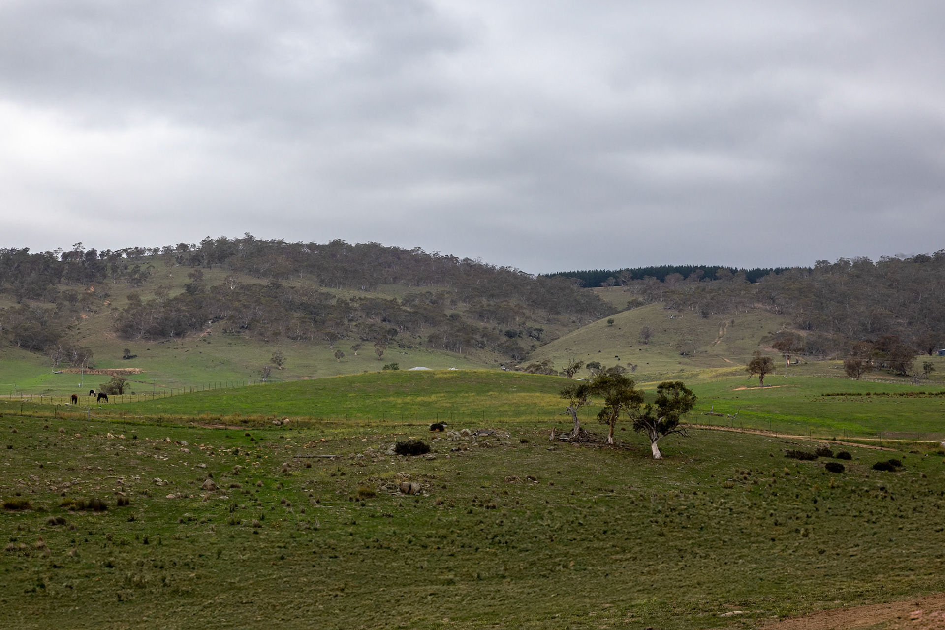 The Camber, Jindabyne, New South Wales, Australia