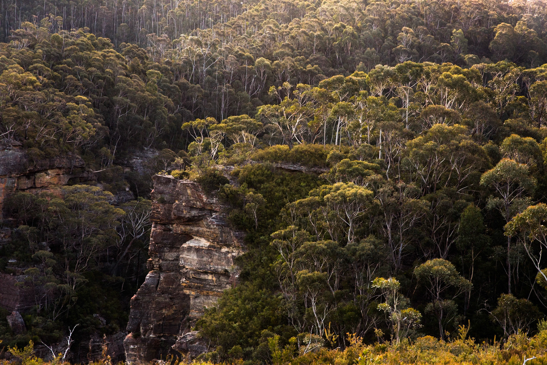 Descended from Neates Glen car park down to and through the Grand Canyon and back up to Evans Lookout. We continued along the clifftop path to Govett's leap and then on to Pulpit Rock. Notes by Peter Watt.