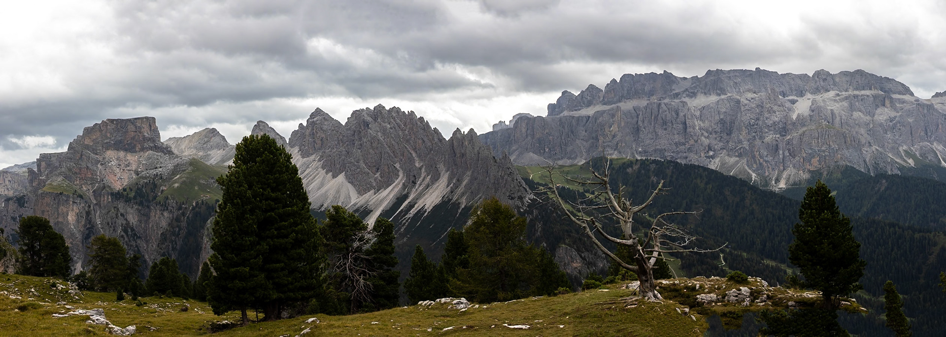 Stevia, Selva di Val Gardena, Dolomites, South Tyrol, Italy