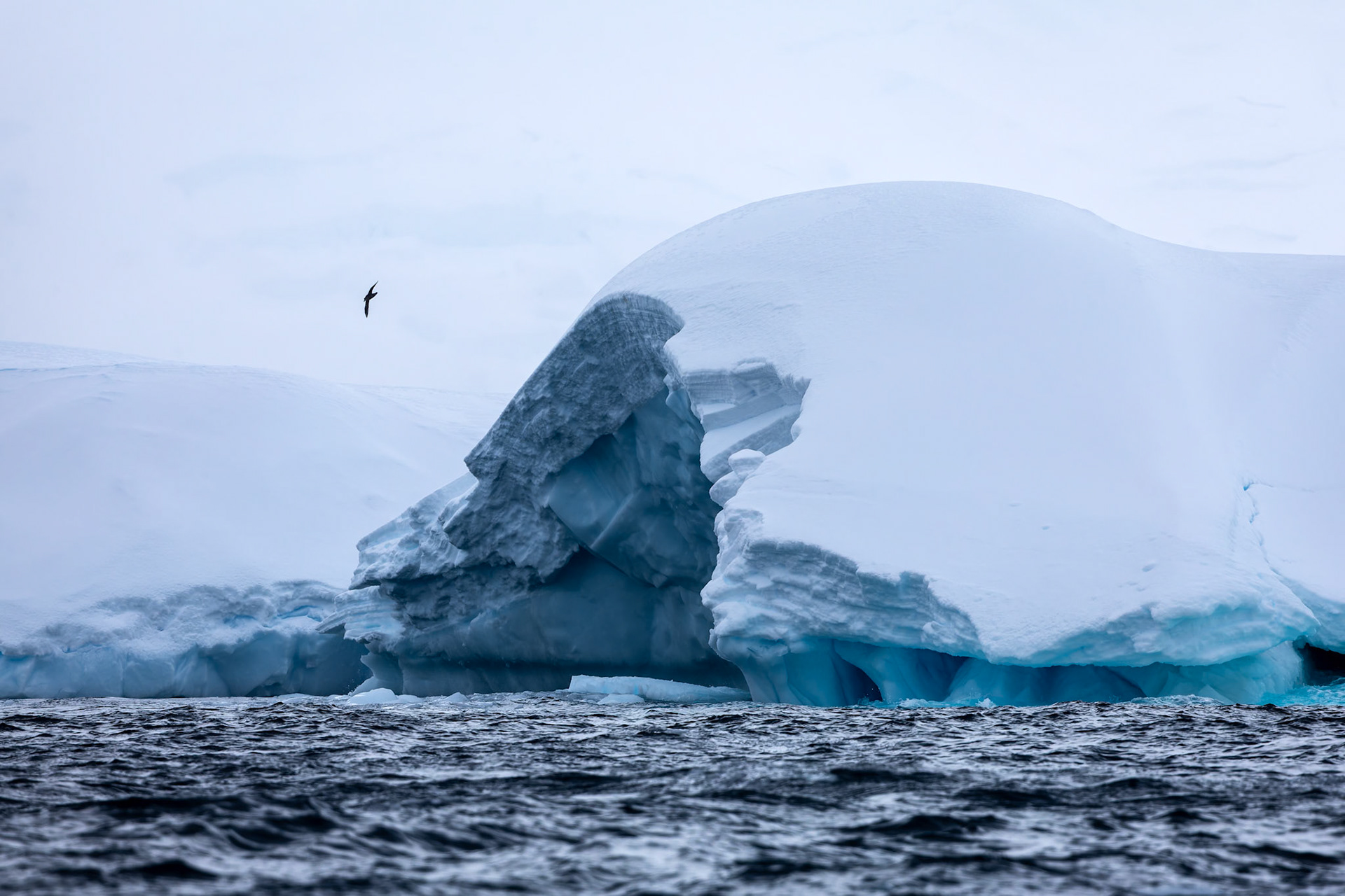 Landscape, Cierva Cove, Antarctica