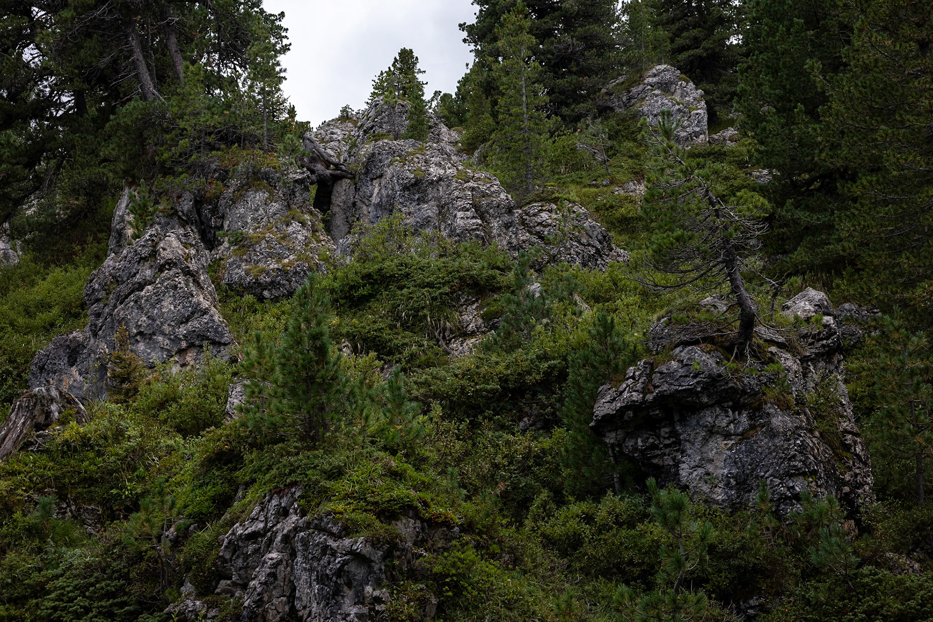 Passo Sella, Sassolungo, Selva di Val Gardena, Dolomites, South Tyrol, Italy
