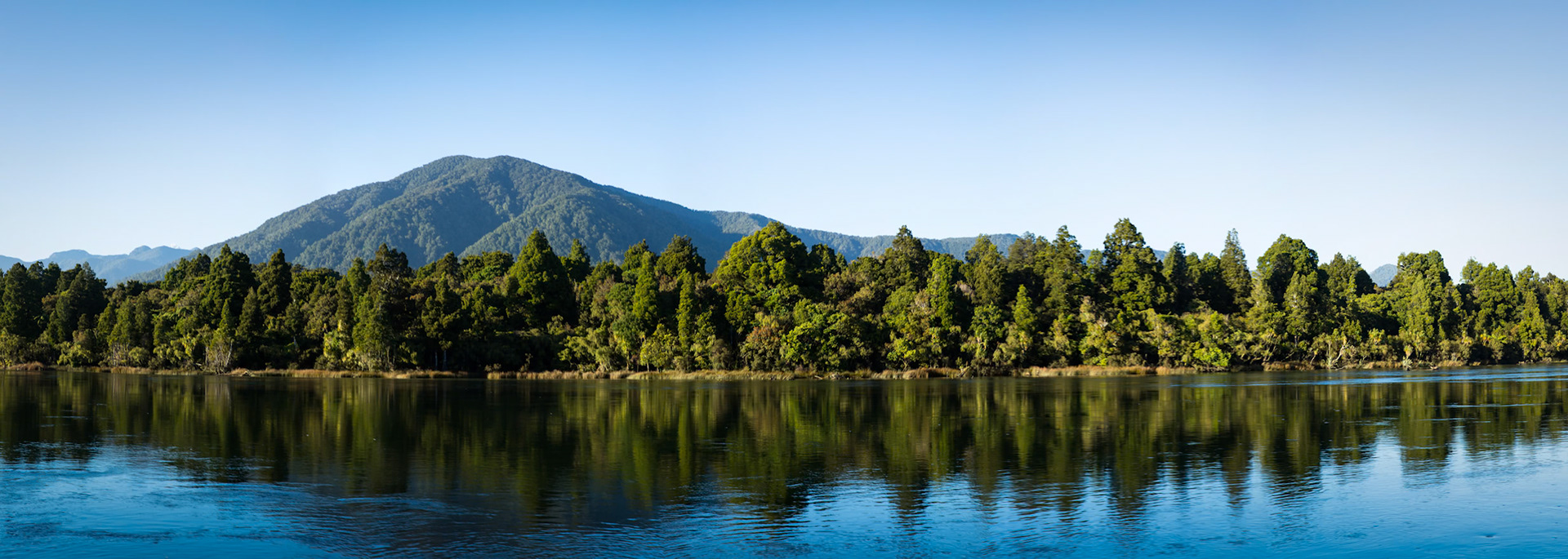 Hollyford Track, Martin's Bay, New Zealand