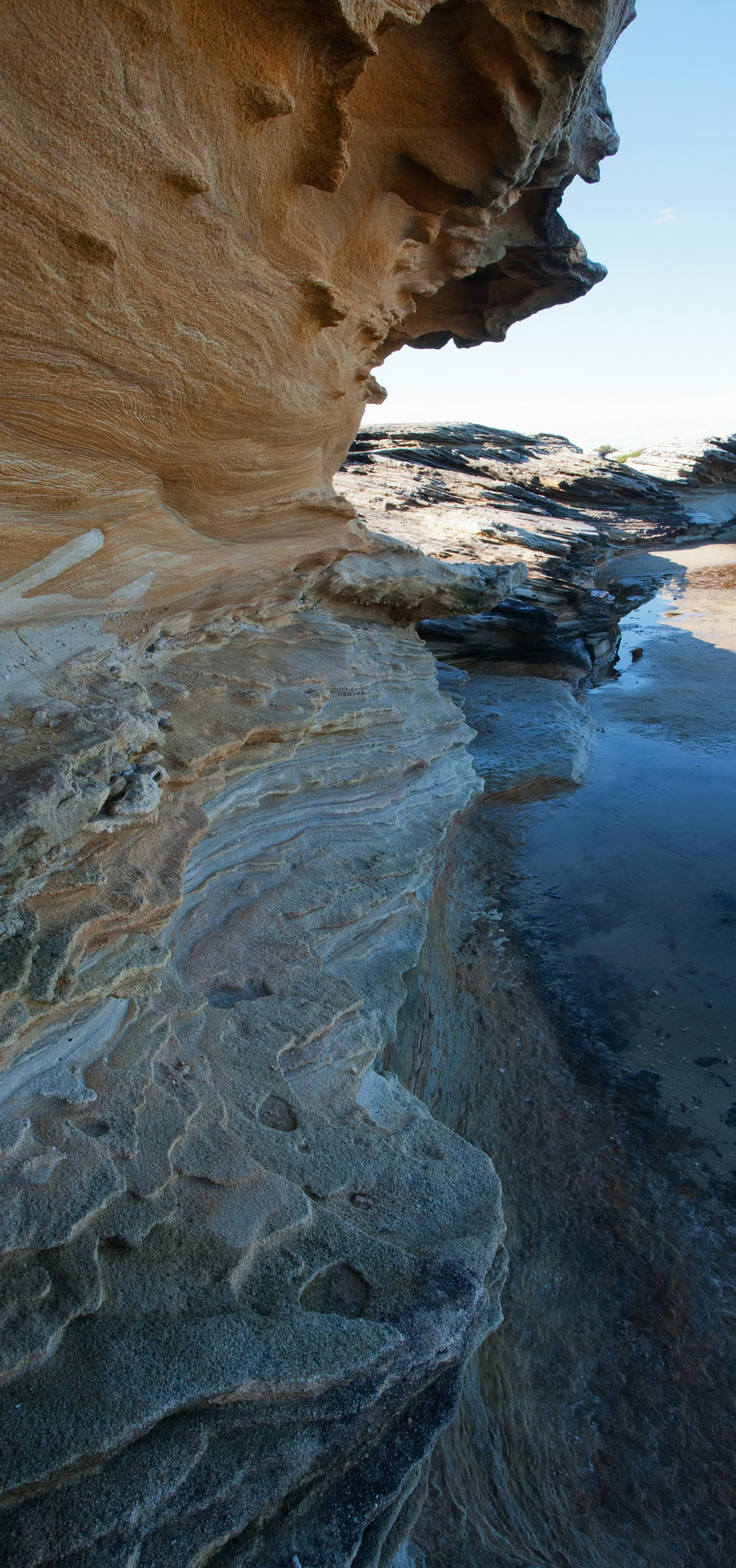 Weathering patterns in the rocks, Cape Solander, Kamay Botany Bay National Park