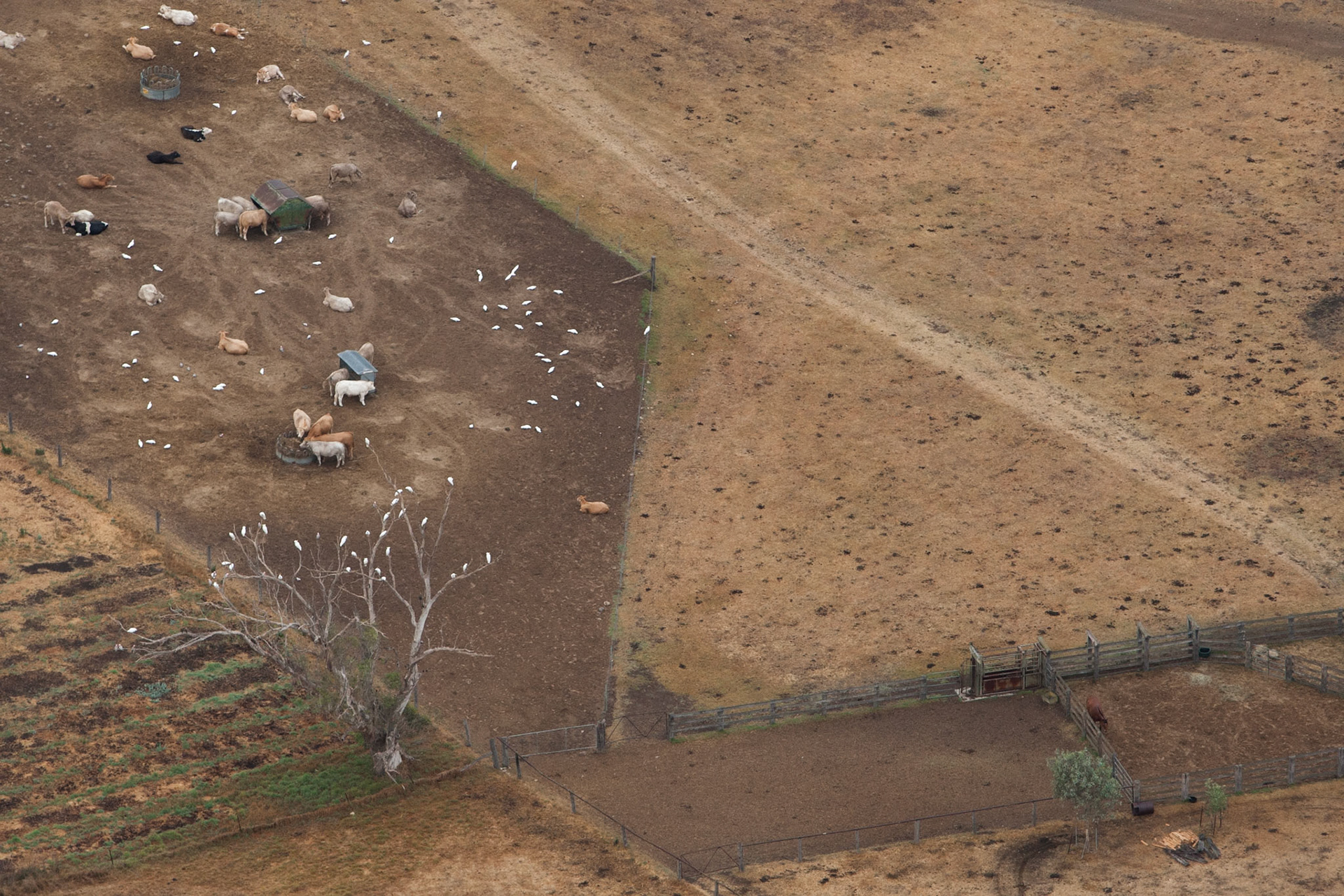 Hot air balloon ride in the Hunter Valley, New South Wales.