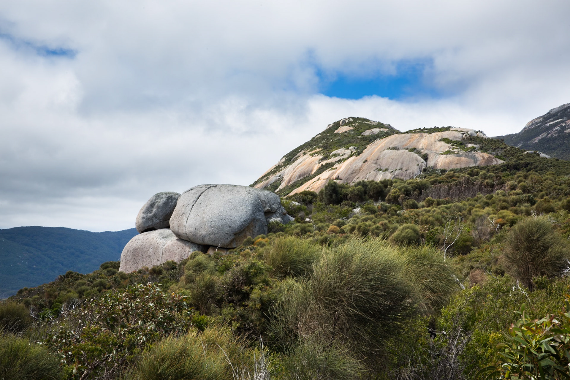 Circuit from Telegraph Saddle via Telegraph Junction to Oberon Bay (lunch), then Little Oberon Bay, Norman Point  and Norman Beach to Tidal River.