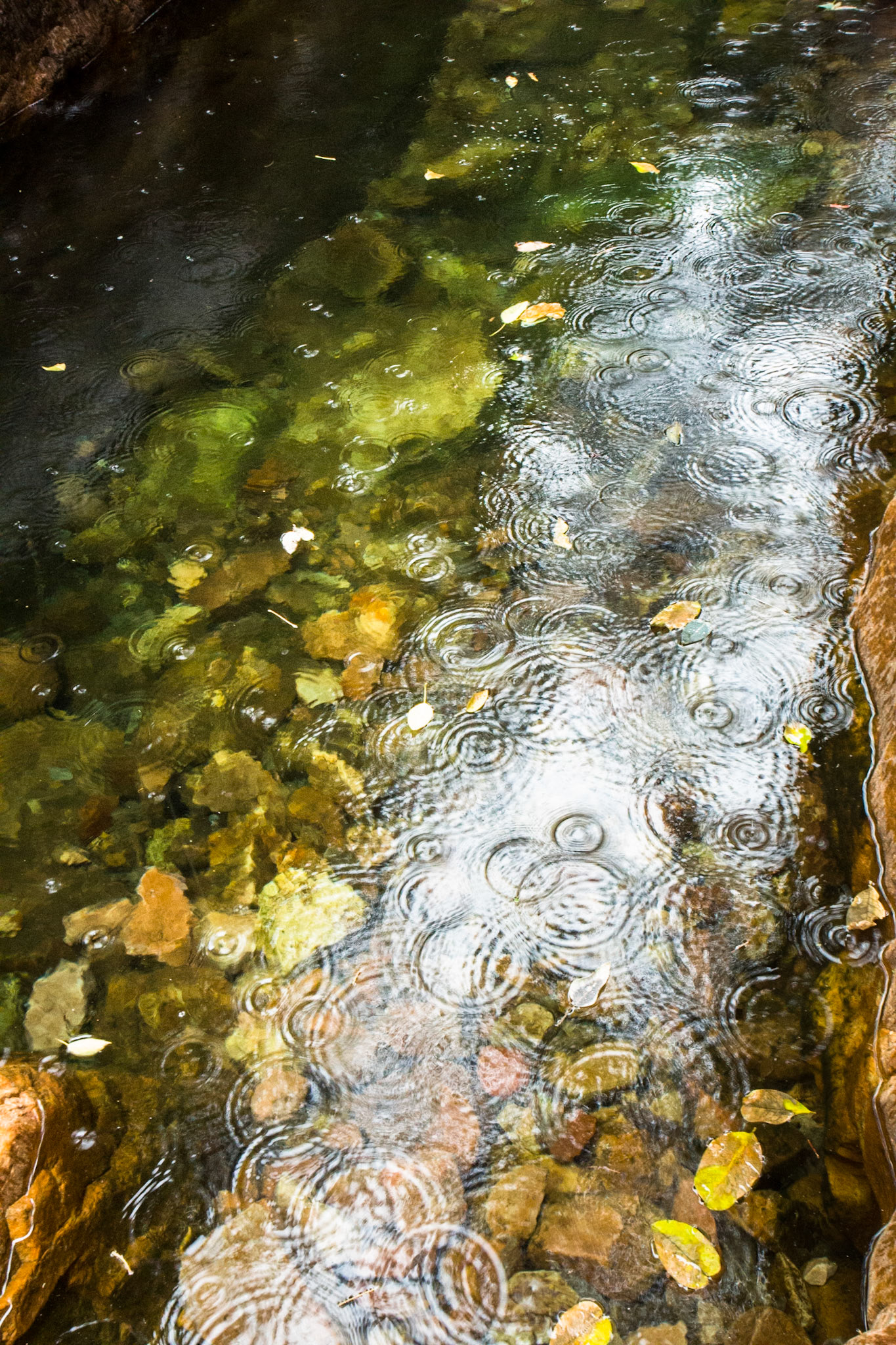 El Questro Gorge, El Questro Wilderness Park, The Kimberly, Western Australia