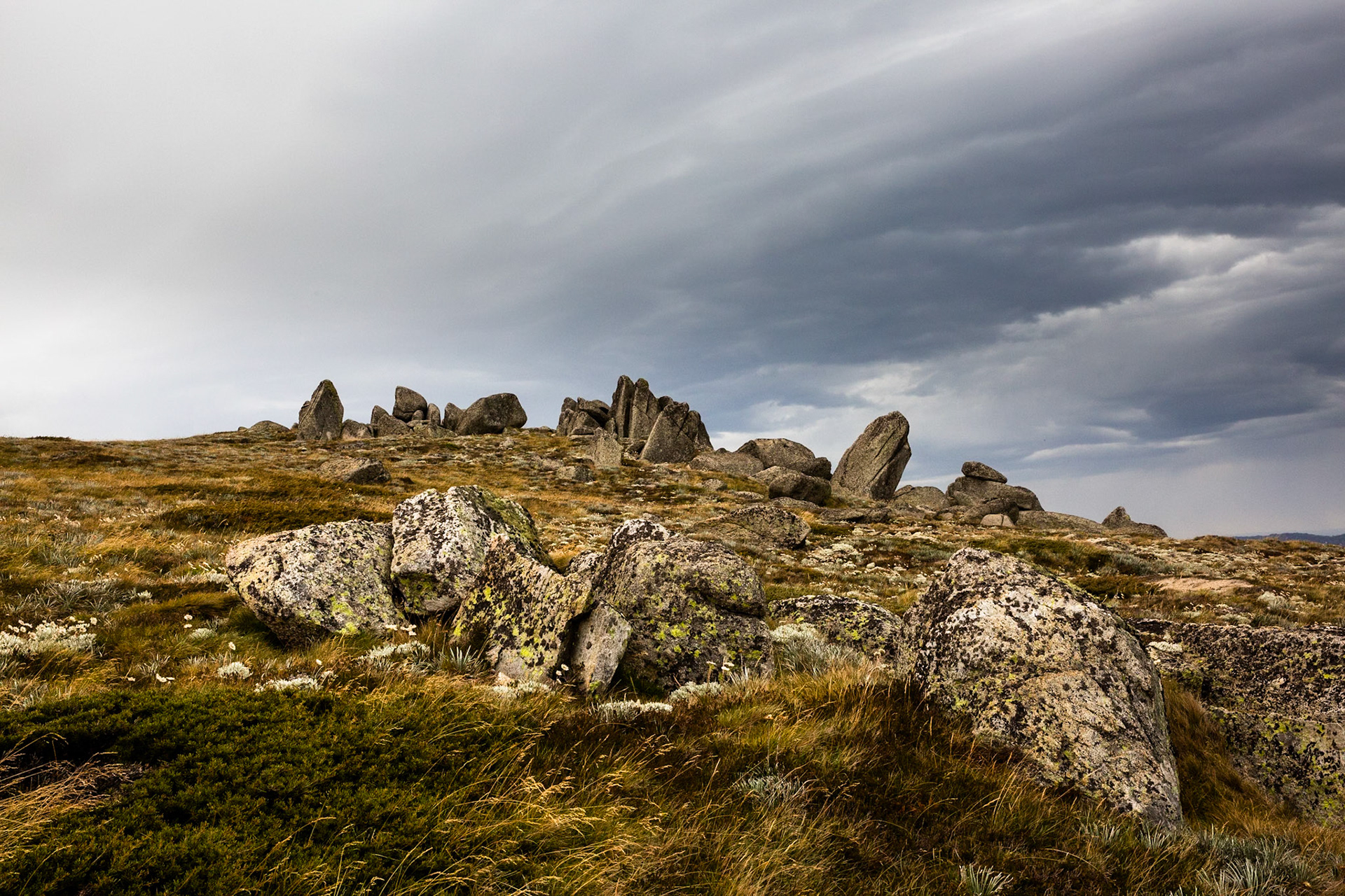 Thredbo to the cablecar and return, Mount Kosciuszko National Park, Snowy Mountains, New South Wales