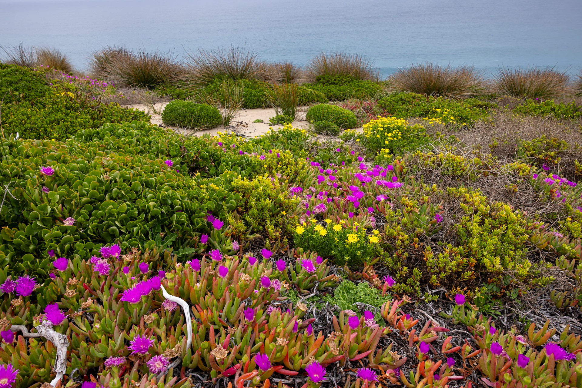 Kangaroo Island, South Australia