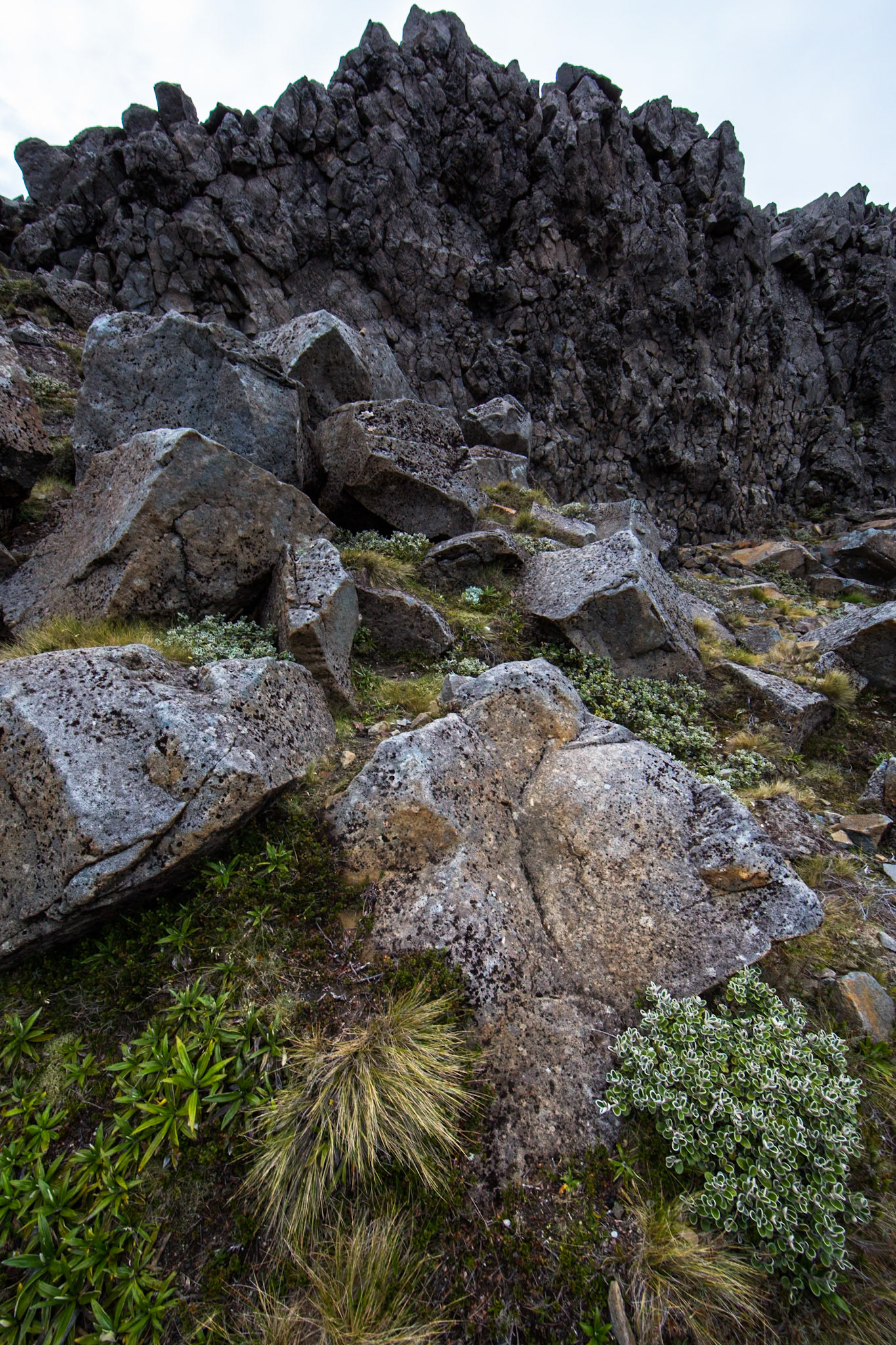 Whakapapa, Tongariro, New Zealand