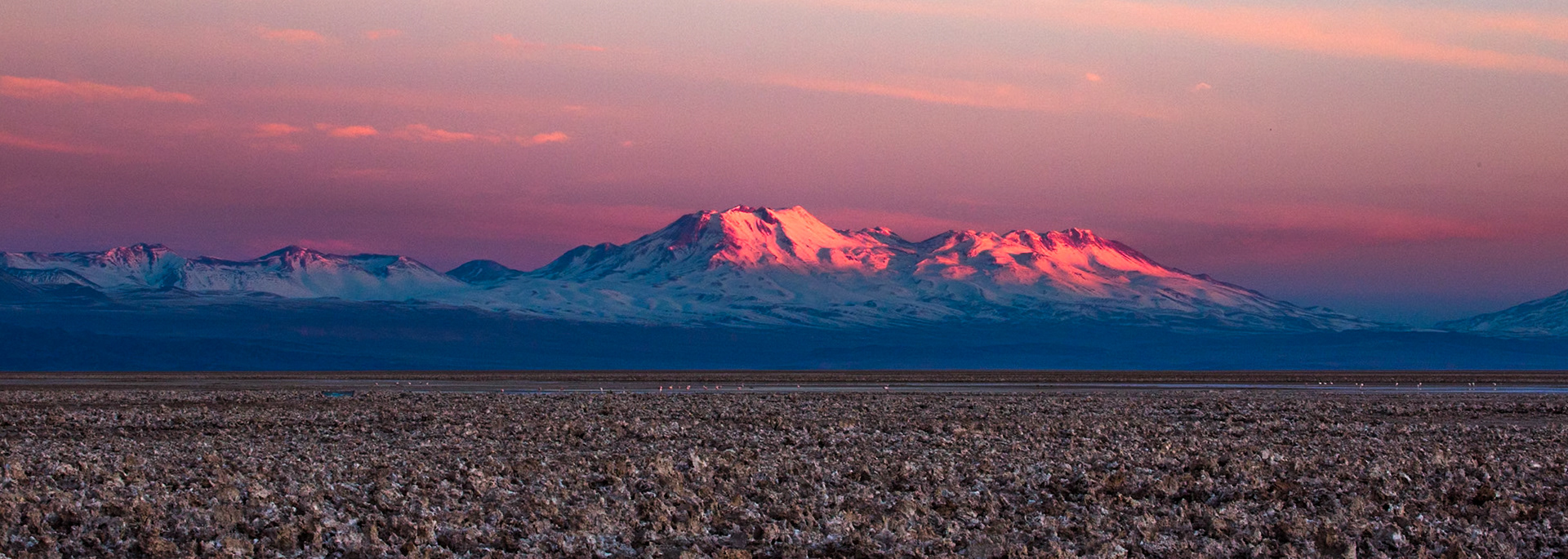 Salar de Atacama, Chaxa lagoon, Atacama, Chile