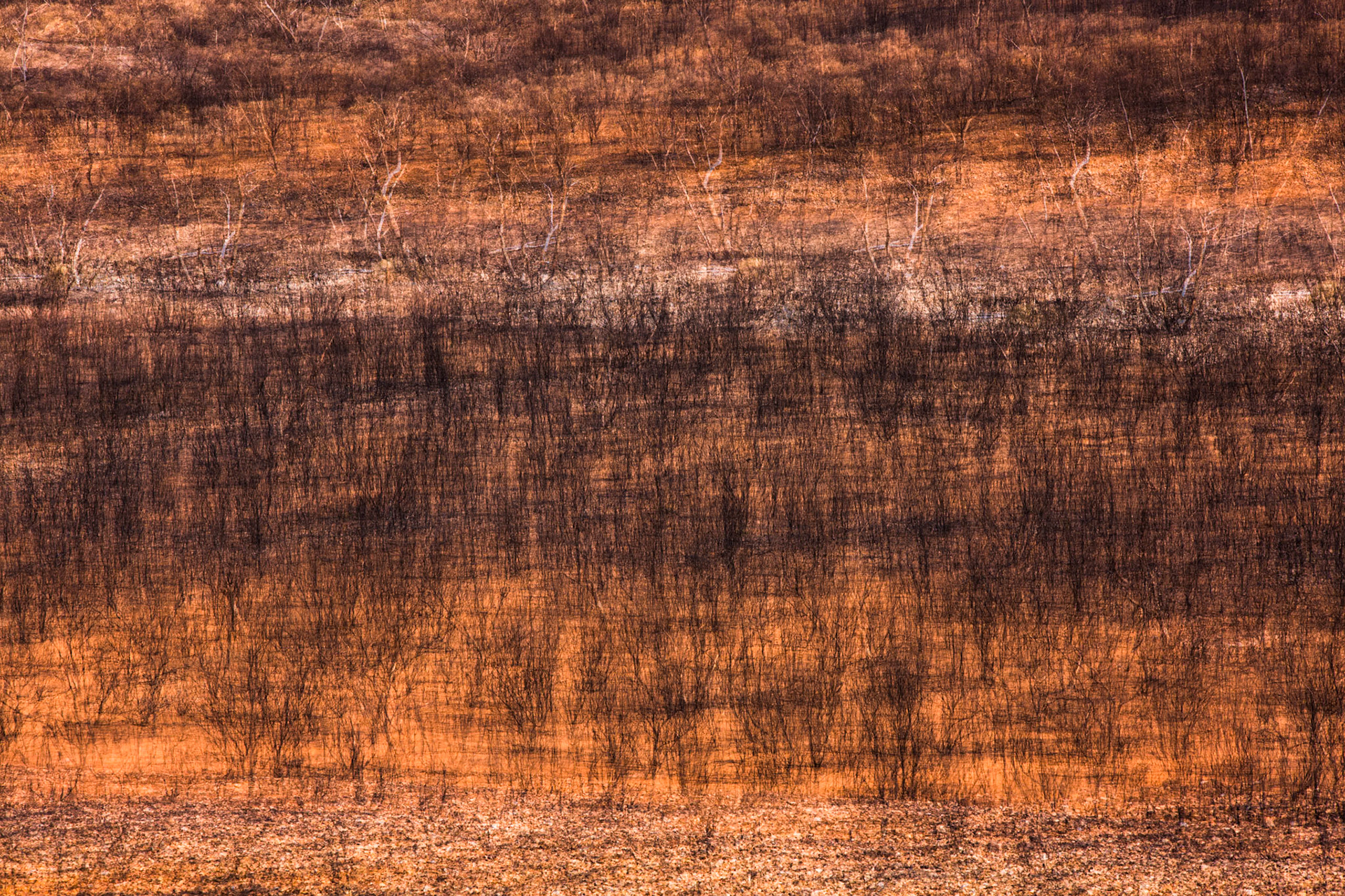 Charlie's Camp to Ochre pits, Larapinta Trail, Northern Territory, Australia