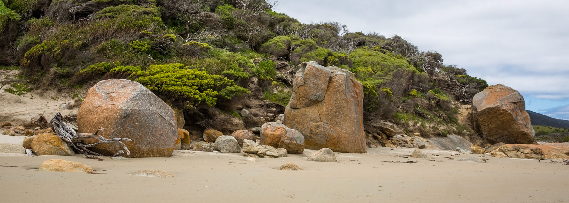 Circuit from Telegraph Saddle via Telegraph Junction to Oberon Bay (lunch), then Little Oberon Bay, Norman Point  and Norman Beach to Tidal River.