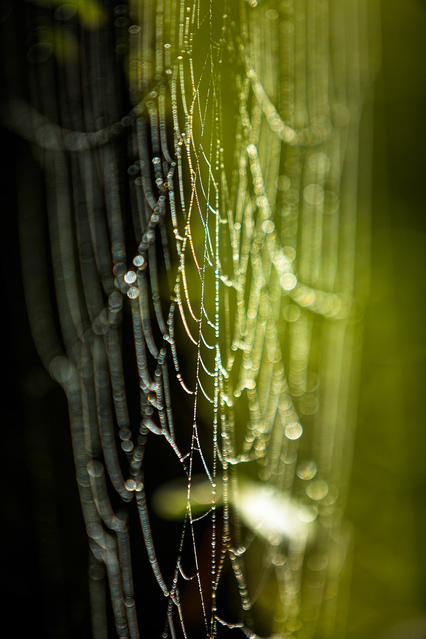 Moconá, Misiones, Argentina