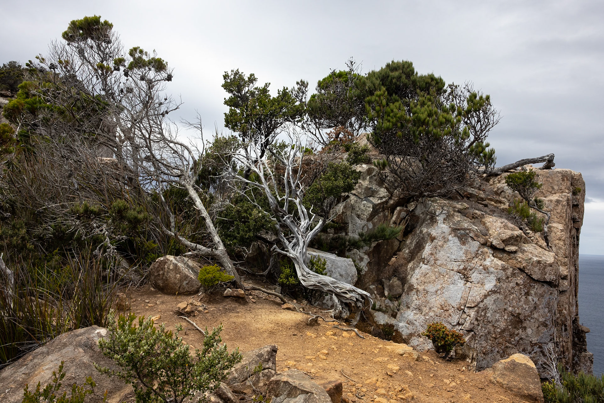 Three Capes Track, Cape Pillar Lodge to Cape Hauy and Fortescue Bay, Tasmania