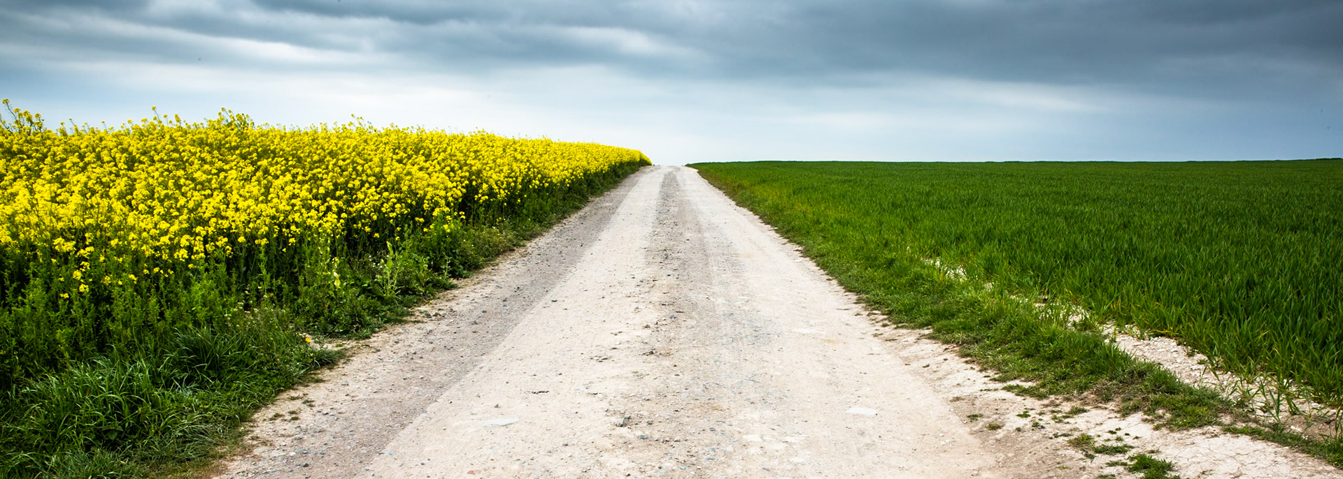 En route from Old Sarum to Winchester