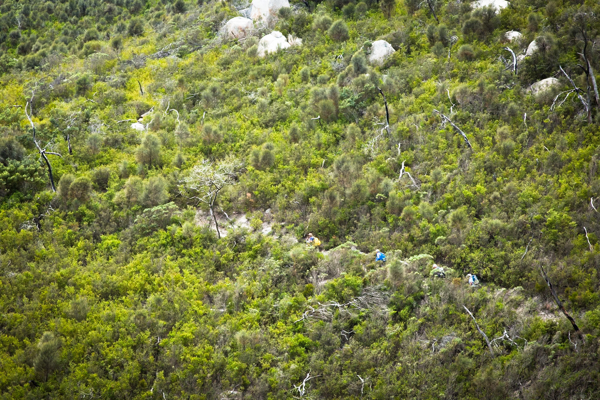 Tuesday am - Darby Saddle via Sparkes Lookout and Lookout Rocks to Tongue Point; and then on to Darby River for lunch.Tuesday pm - Lilly Pilly Gully carpark up to Tidal Overlook and on to Pillar Point then via Squeaky Beach and Picnic Beach to Picnic Beach carpark.