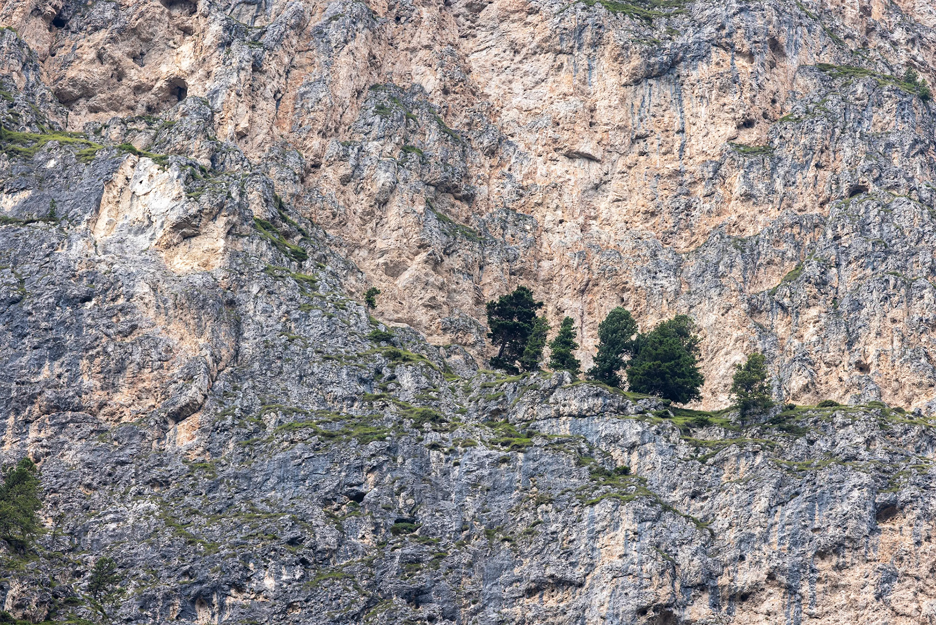 Val Lunga, Selva di Val Gardena, Dolomites, South Tyrol, Italy