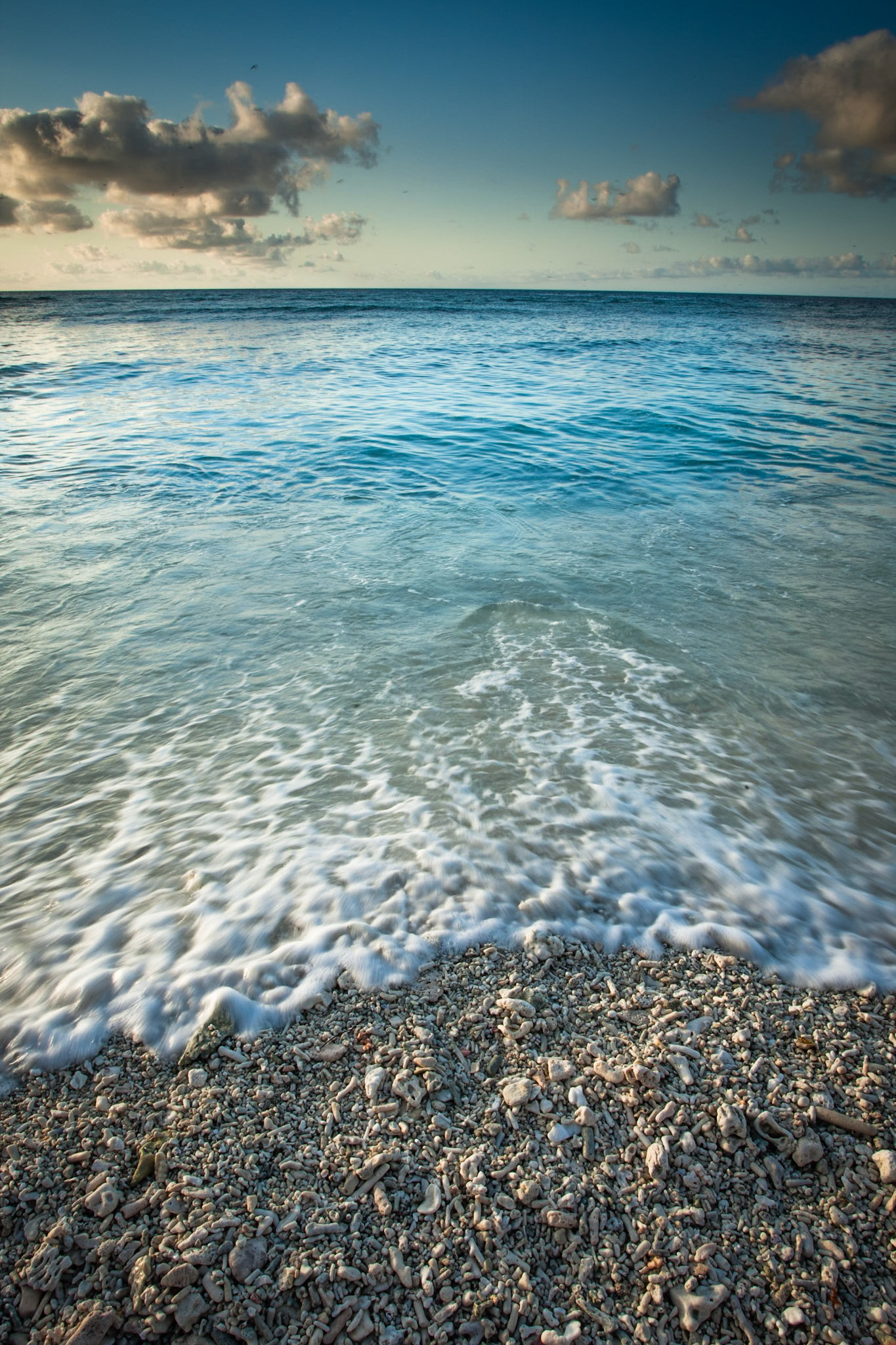 Coral and surf, Lady Elliot Island, Queensland, Australia