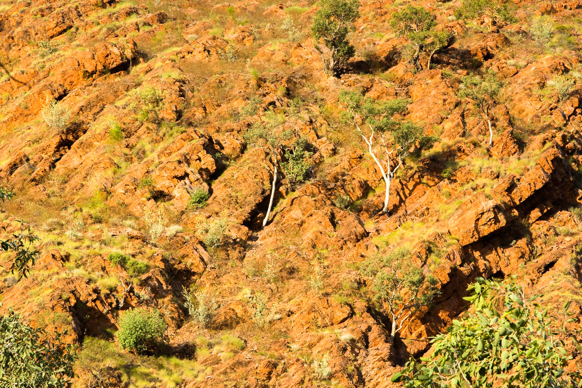 Near Moonshine gorge, El Questro Wilderness Park, The Kimberly, Western Australia