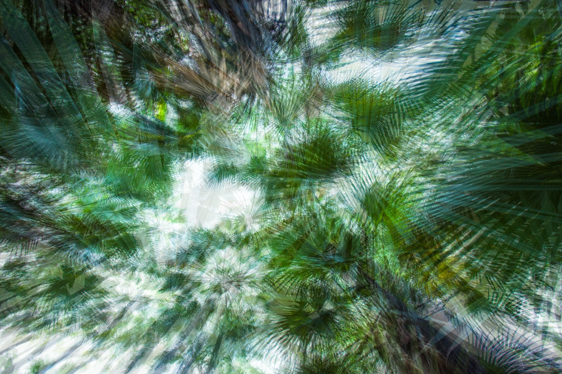 Zebedee thermal springs, El Questro Wilderness Park, The Kimberly, Western Australia