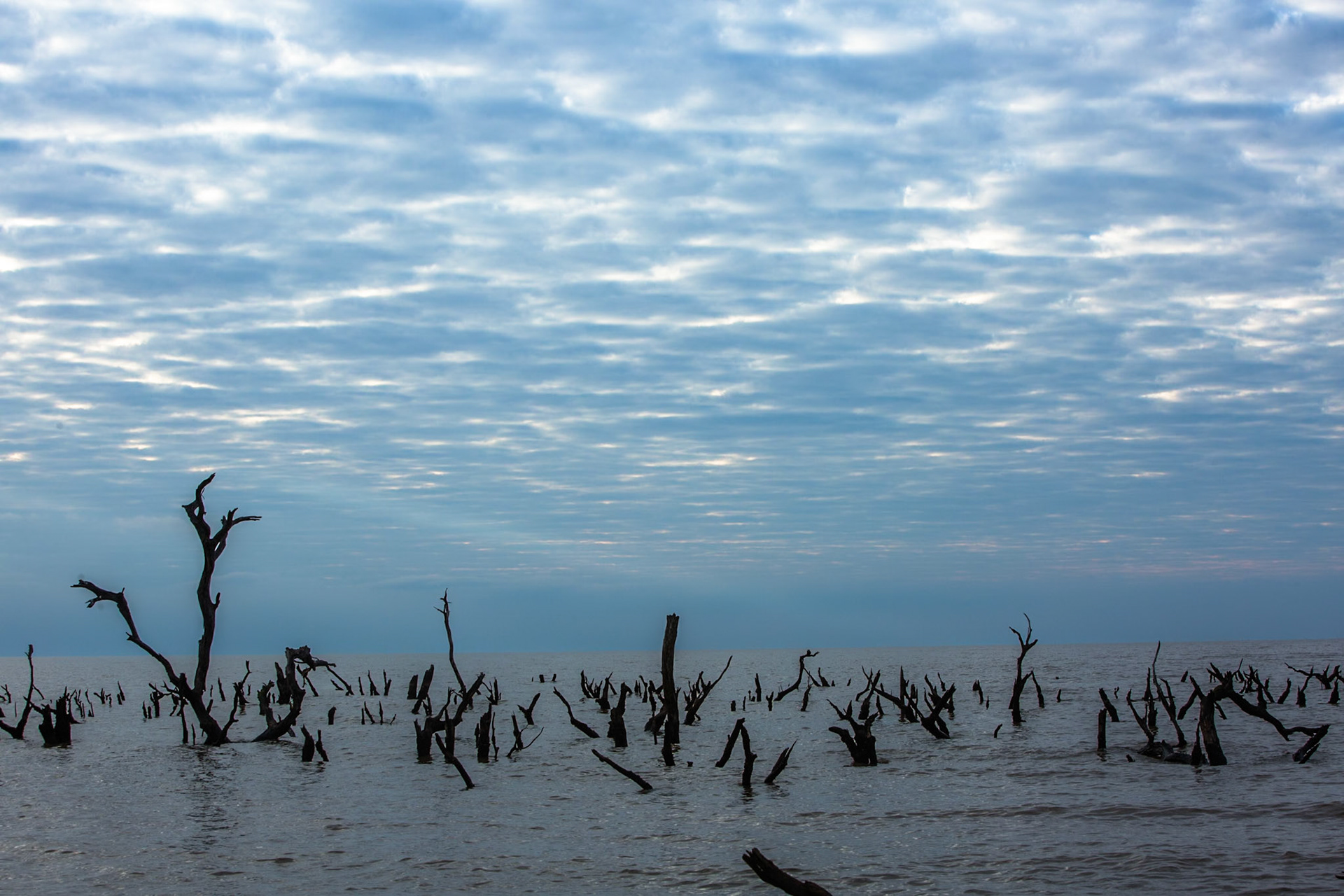 Puerto Valle Esteros, Ibera wetlands, Corrientes, Argentina