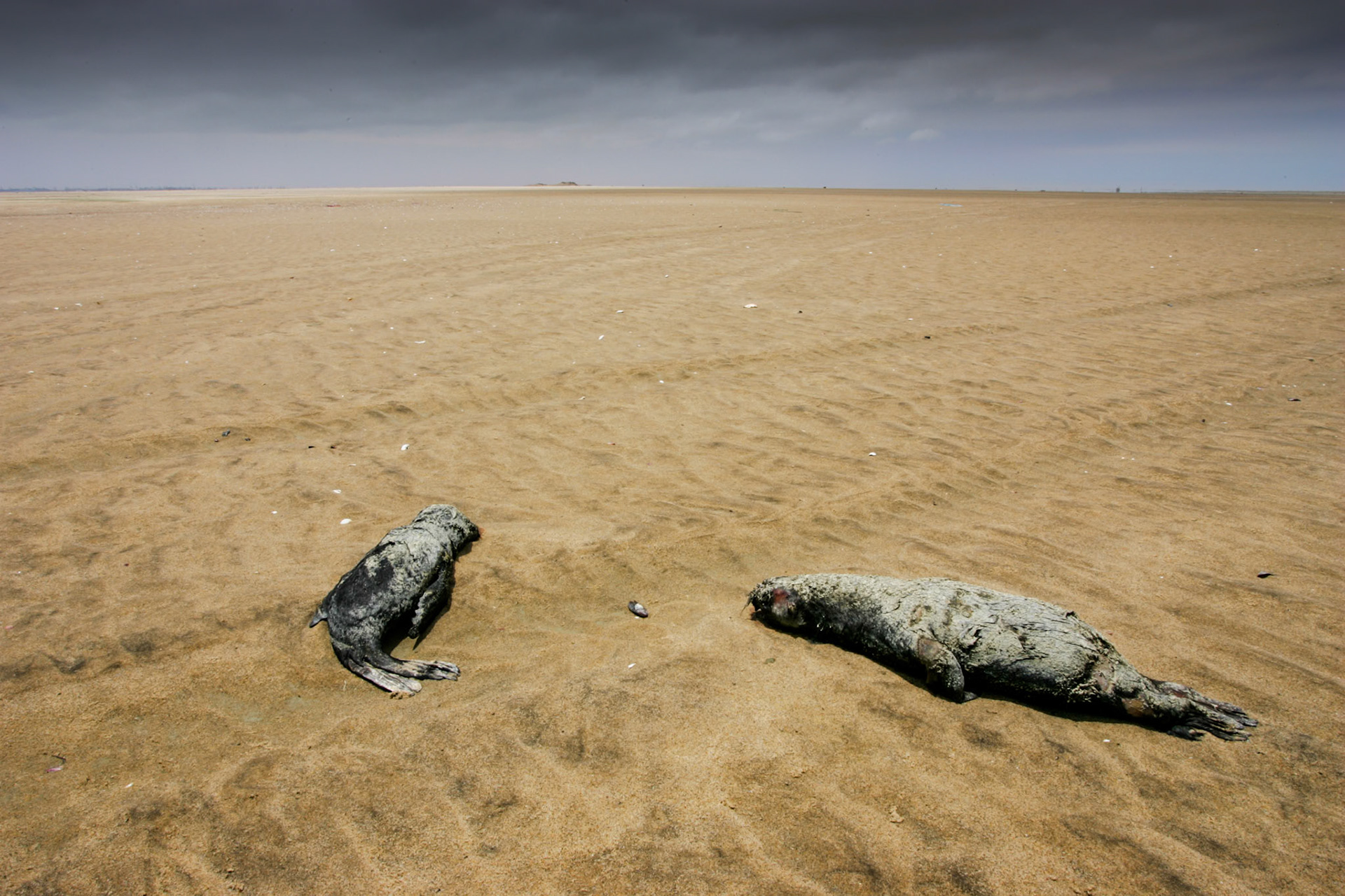 Sesriem to Sandwich harbour, Namibia