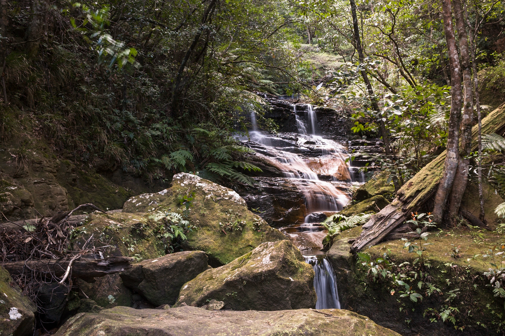 Started at the conservation hut and descended  the Valley of the Waters to Vera Falls. Tried unsuccessfully to find the route across to Hippocrene Falls.  Retraced our steps up to the conservation hut. Notes by Peter Watt.