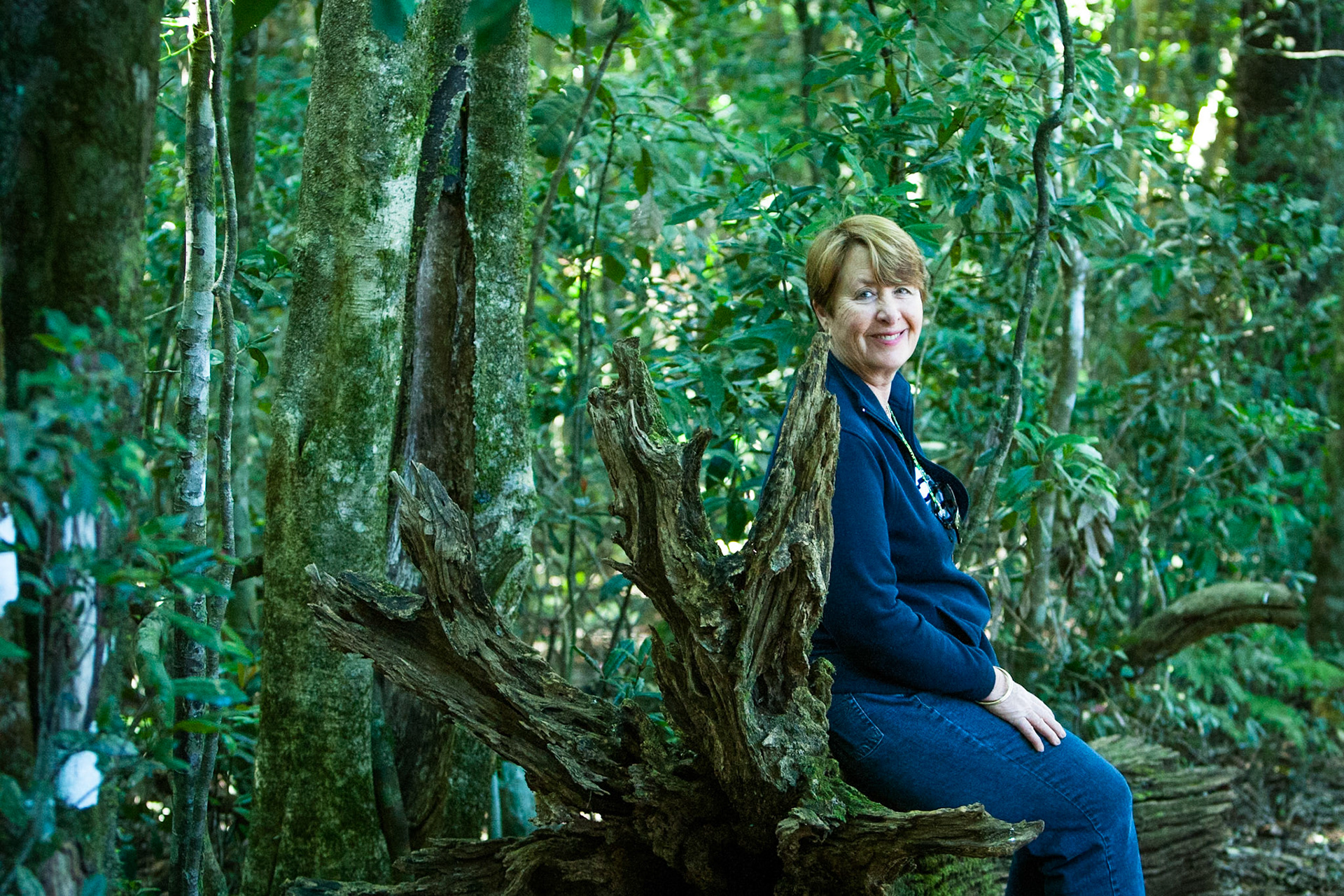 Lamington National Park, Queensland