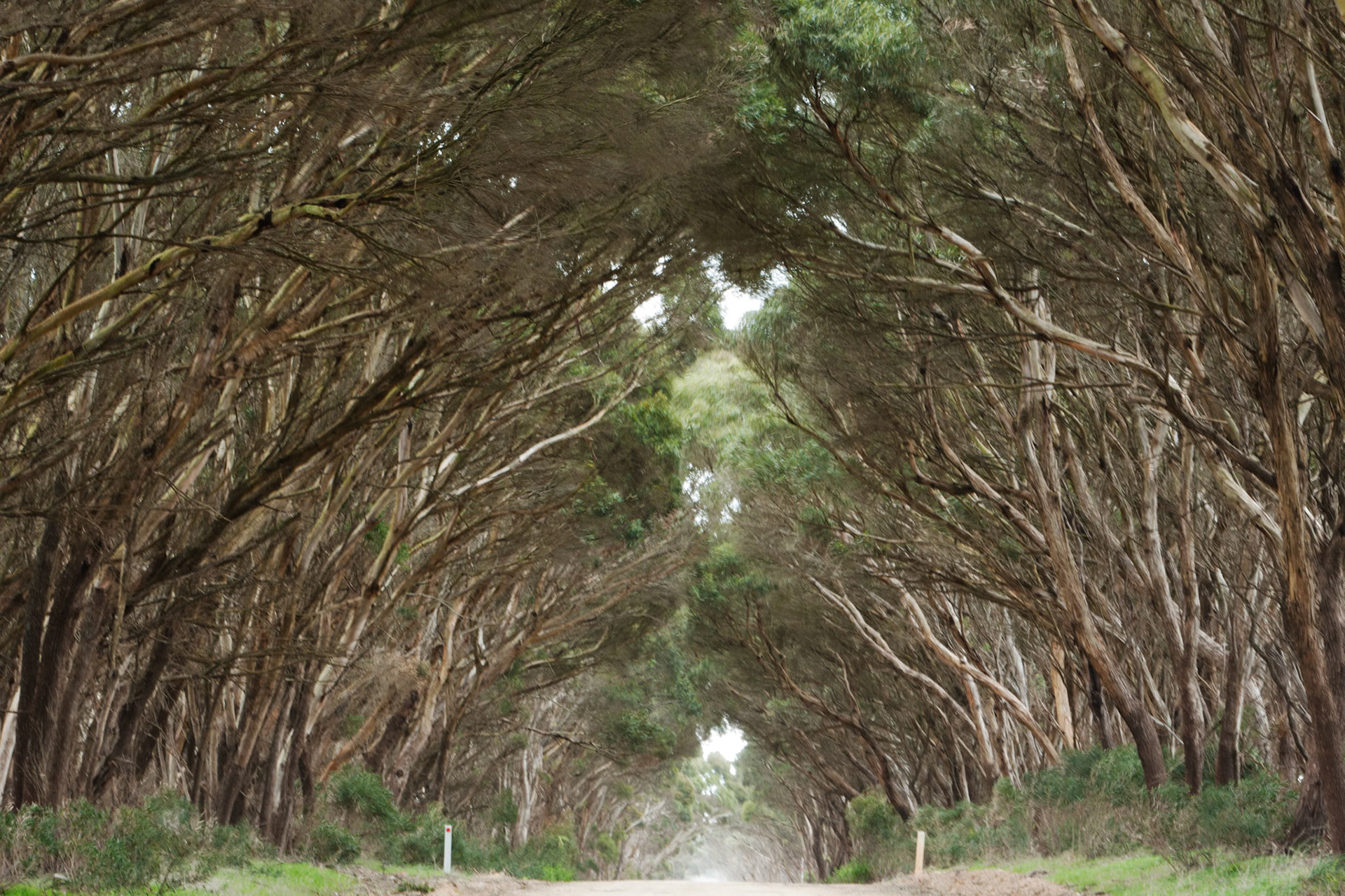 Antechamber Bay, Kangaroo Island, South Australia