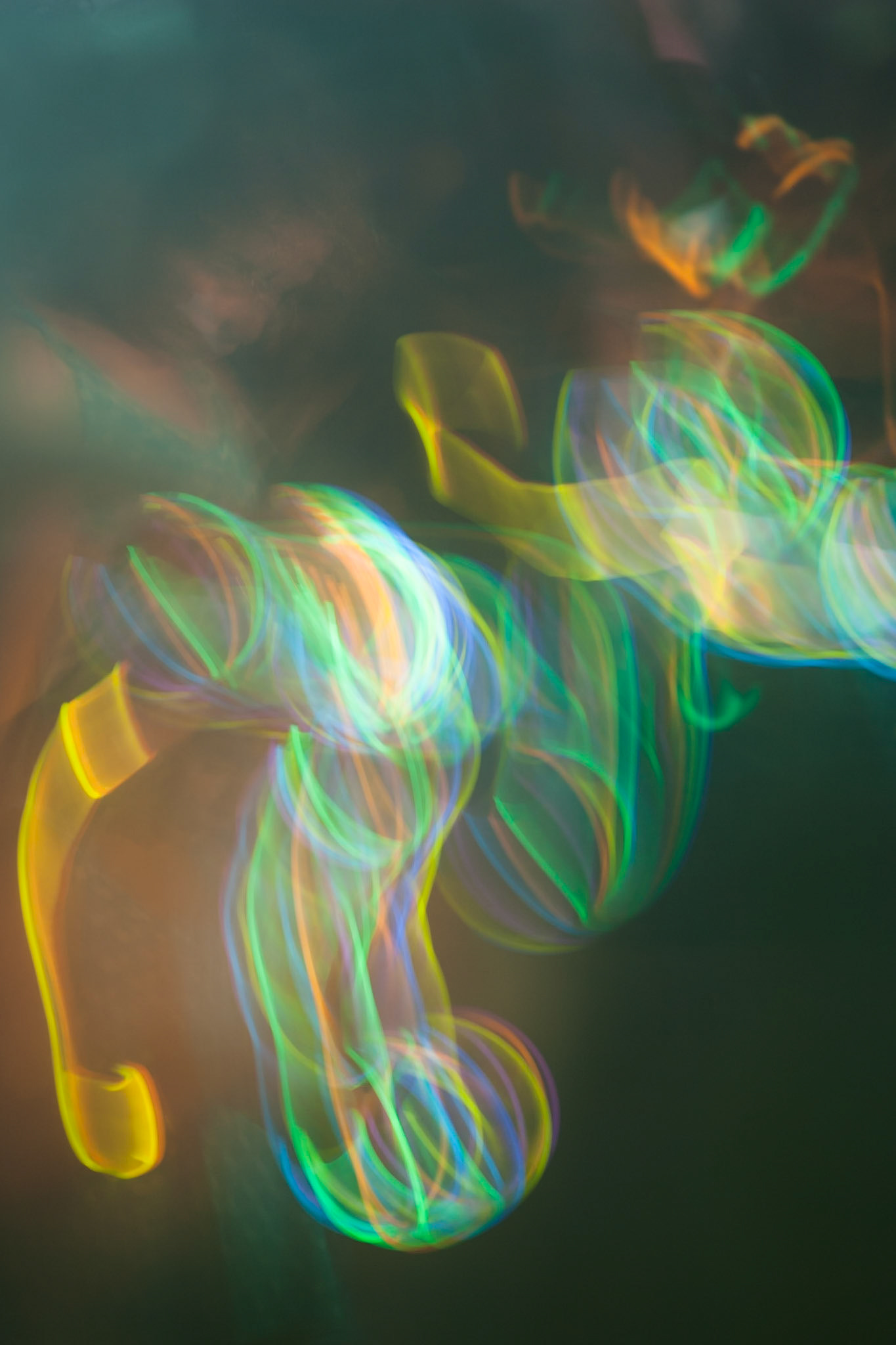 A young lady, lit by the light of a cylume, National Botanic Gardens, Sydney