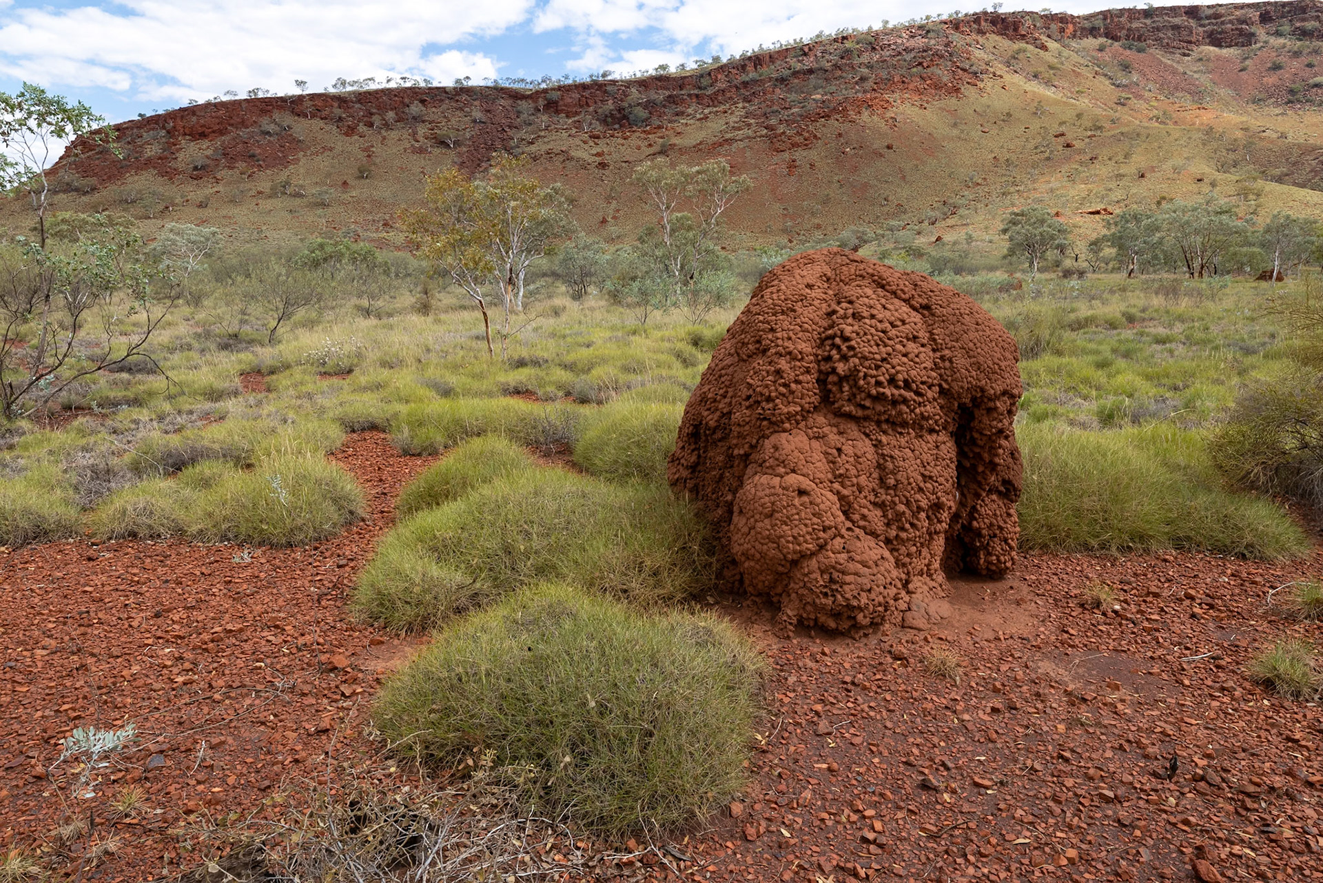 Near Weano Gorge, Karijini National Park, Western Australia
