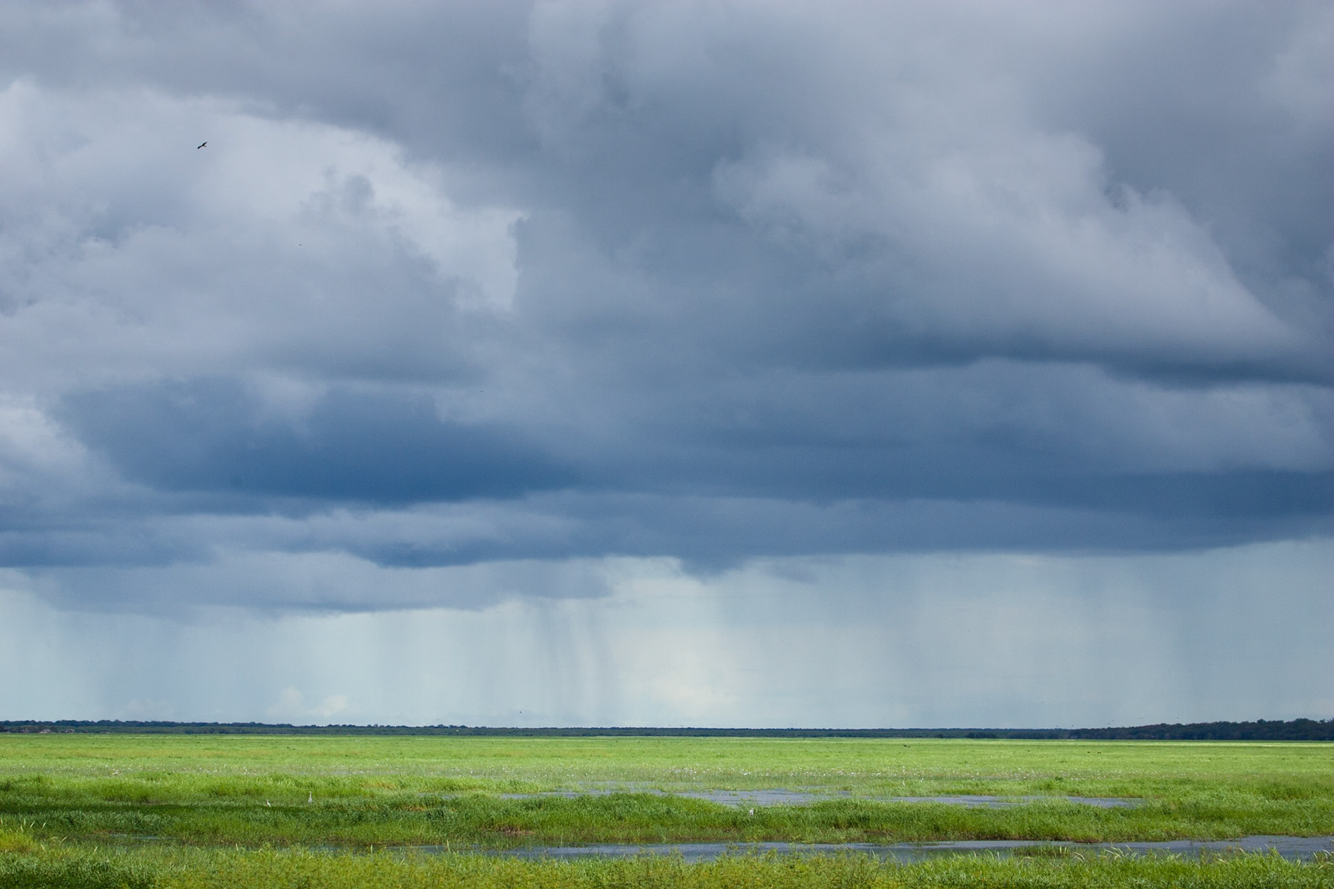 Storm clouds and rain. Mount Borradale, Arnhemland, Northern Territory