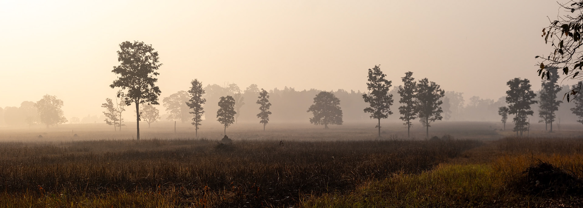 Landscape, Khana, India