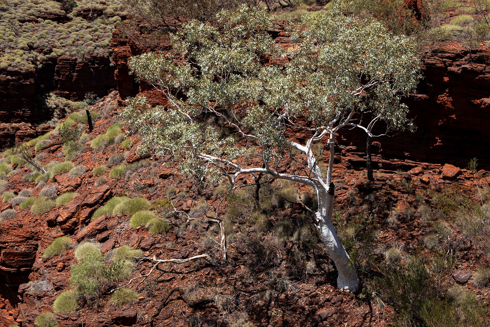 Handrail Pool, Weano Gorge, Karijini National Park, Western Australia