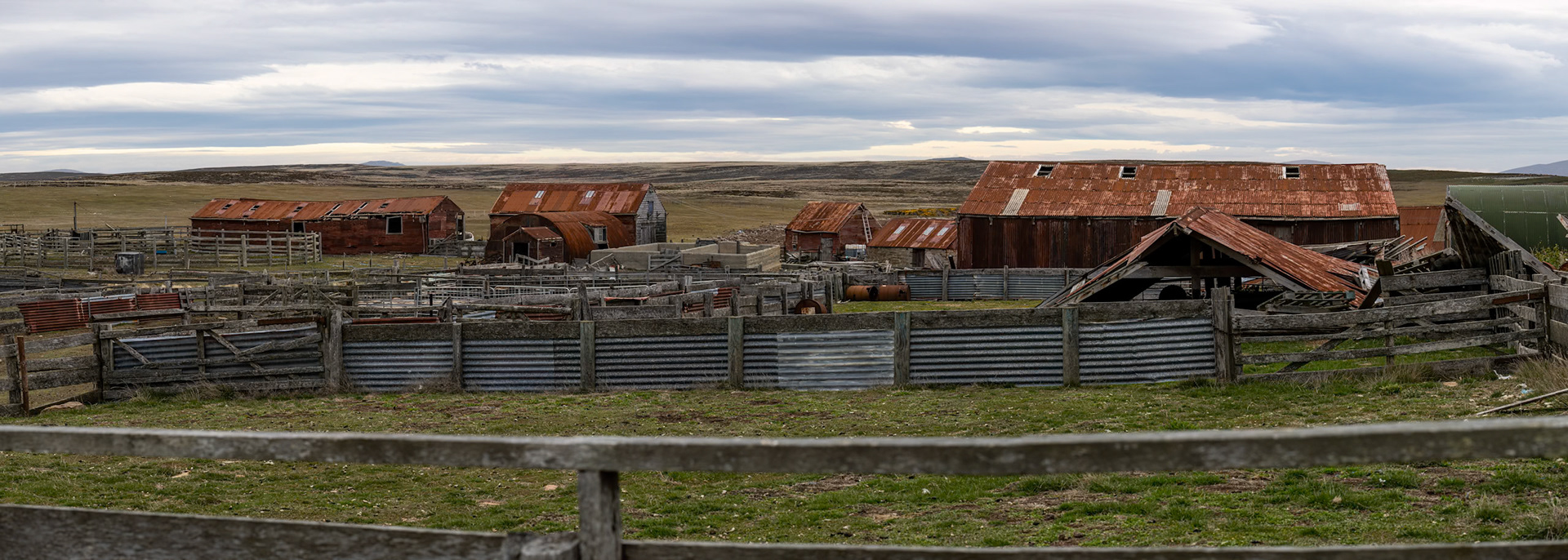 Landscape, Pebble Island, Falkland Islands