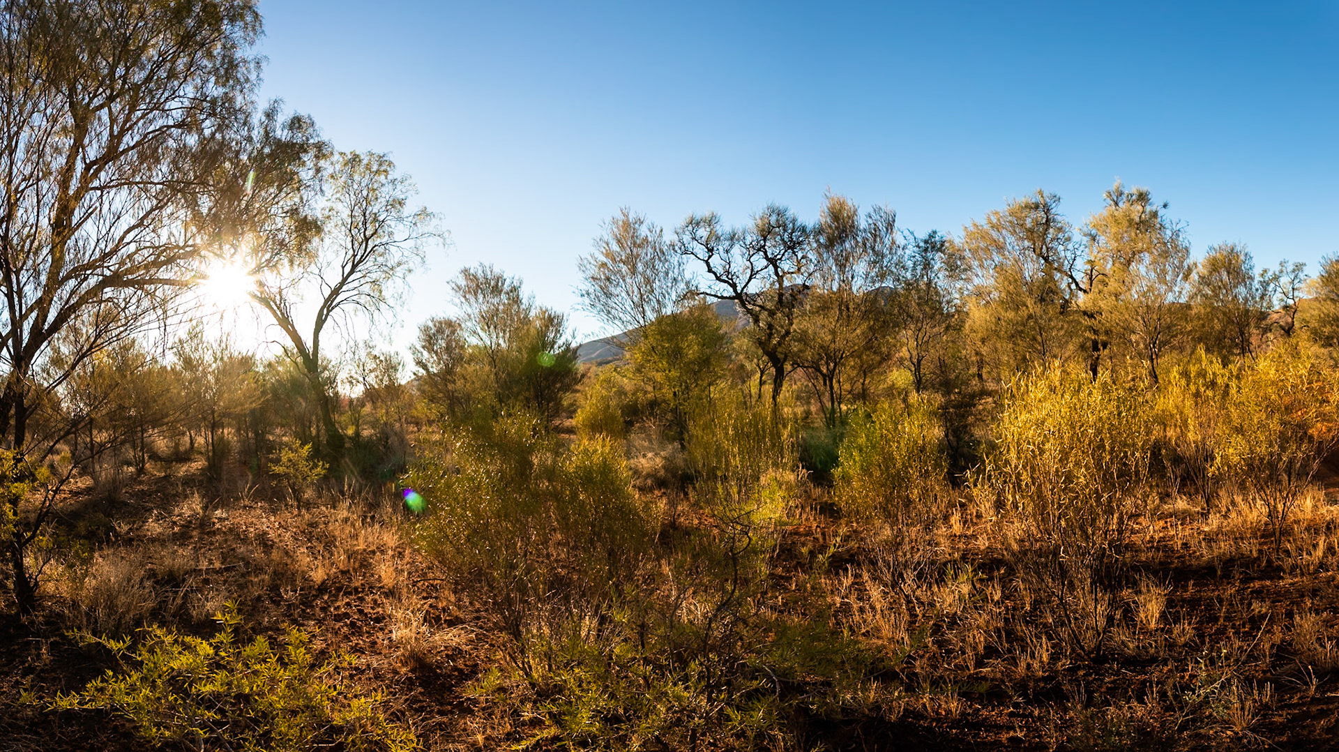 Camp Fearless, Larapinta Trail, Northern Territory, Australia