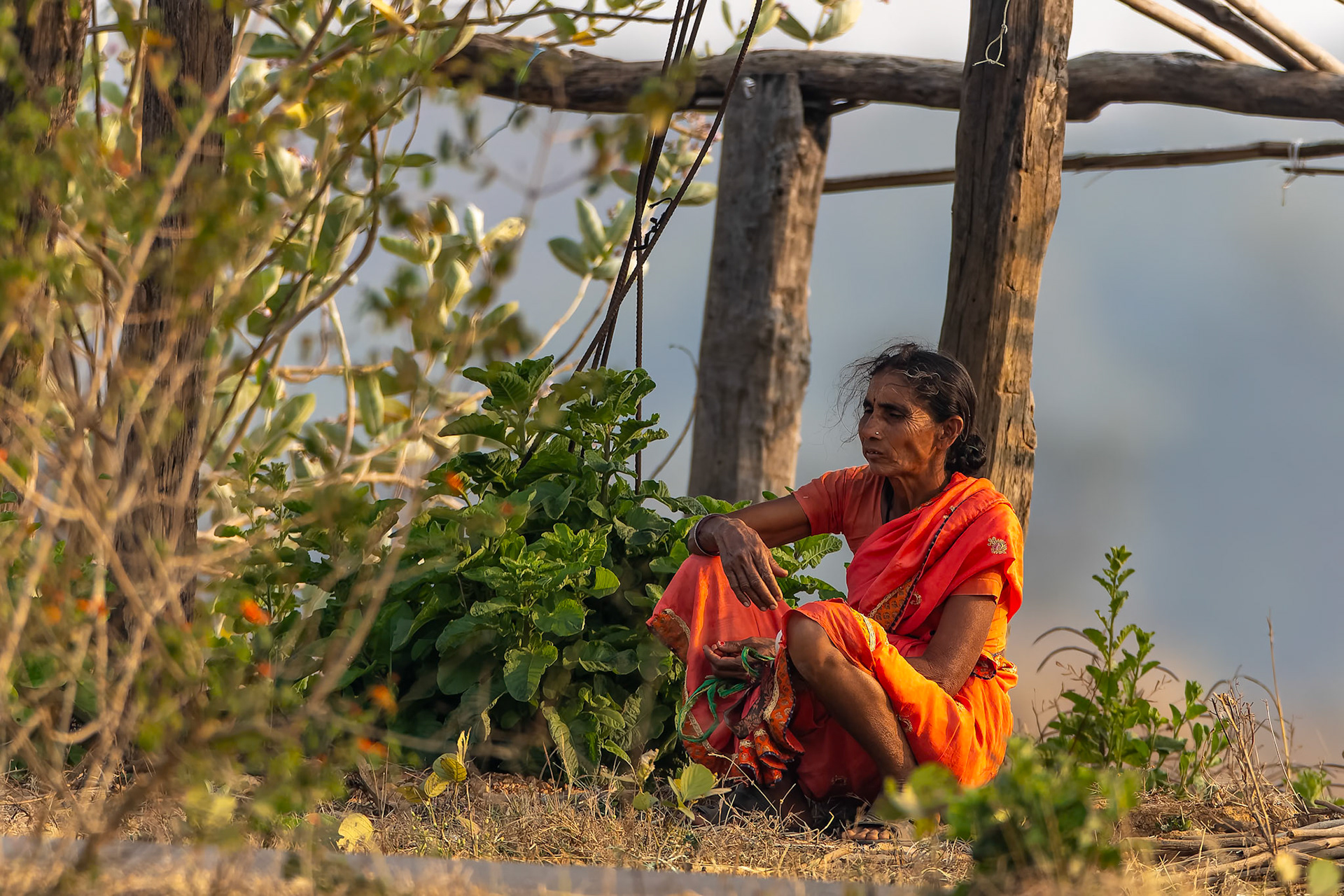 The Bagh, Khana, India