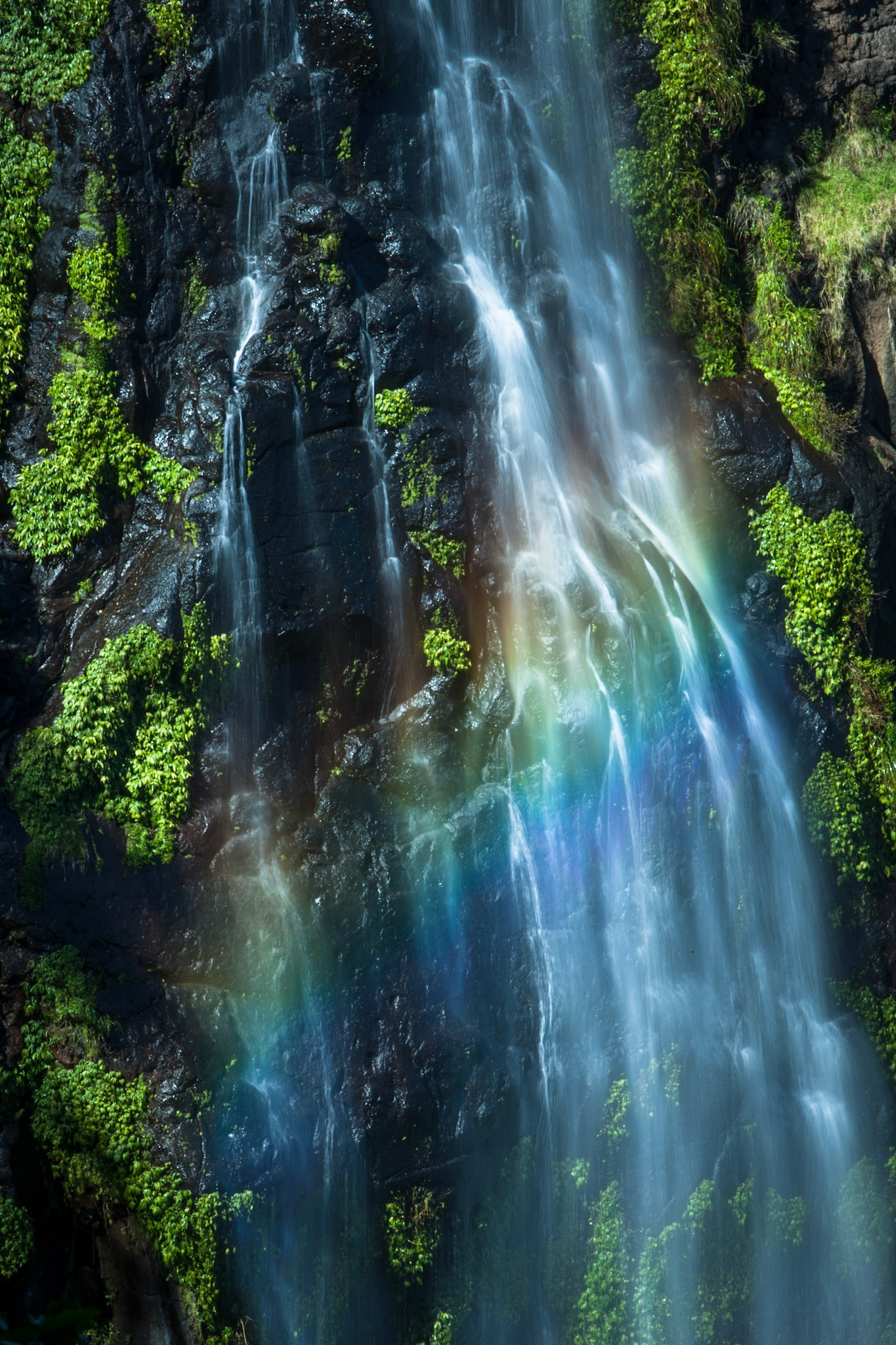 Lamington National Park, Queensland