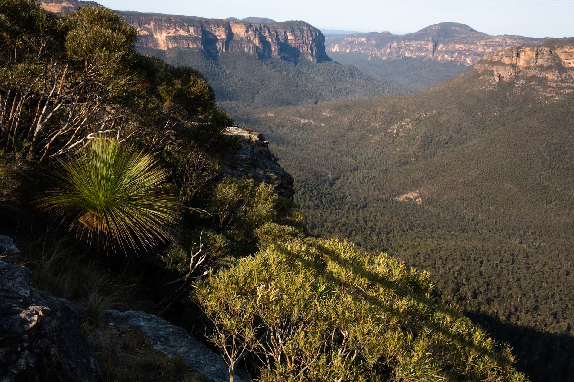 Descended from Neates Glen car park down to and through the Grand Canyon and back up to Evans Lookout. We continued along the clifftop path to Govett's leap and then on to Pulpit Rock. Notes by Peter Watt.