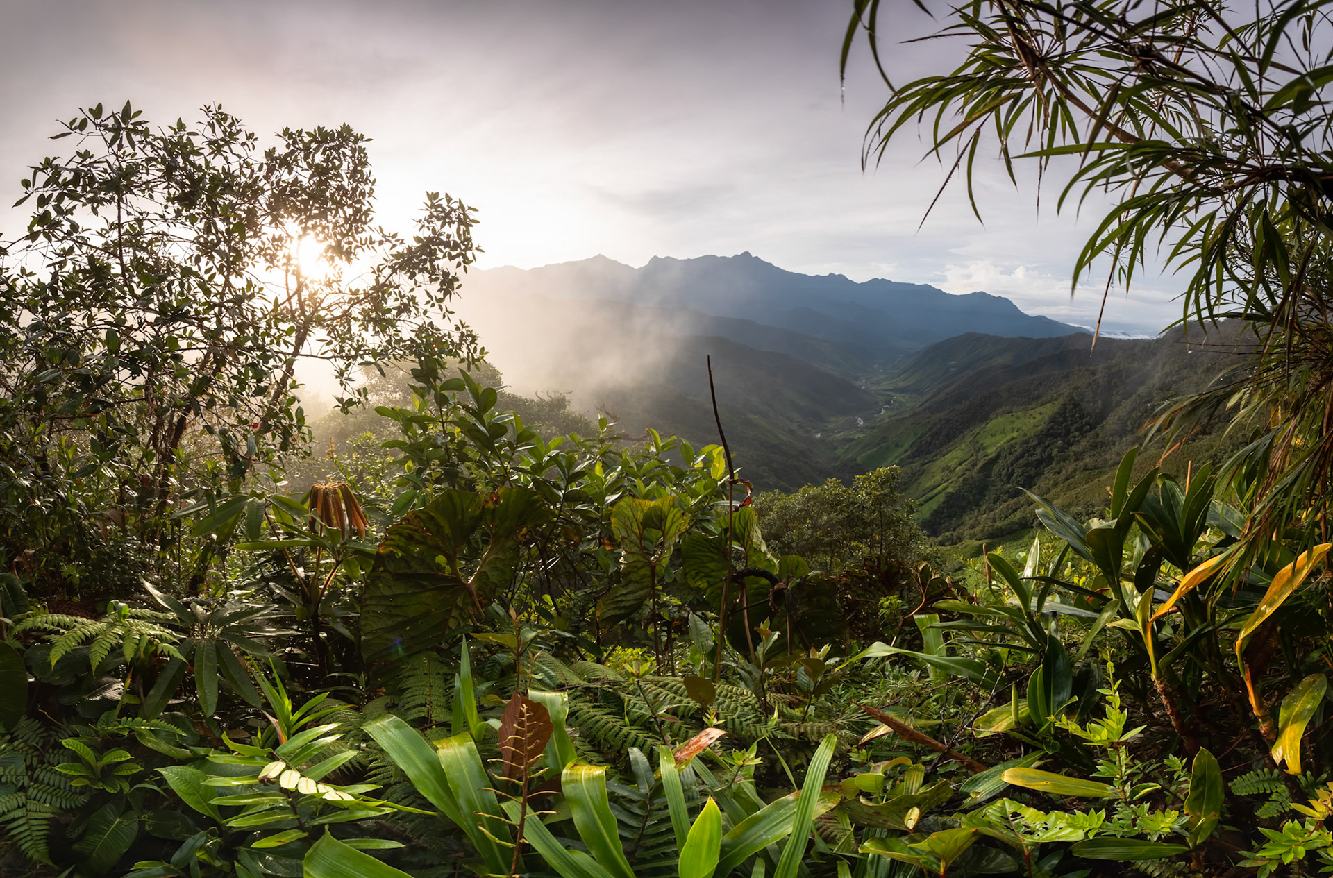 Las Tangeras, Colombia