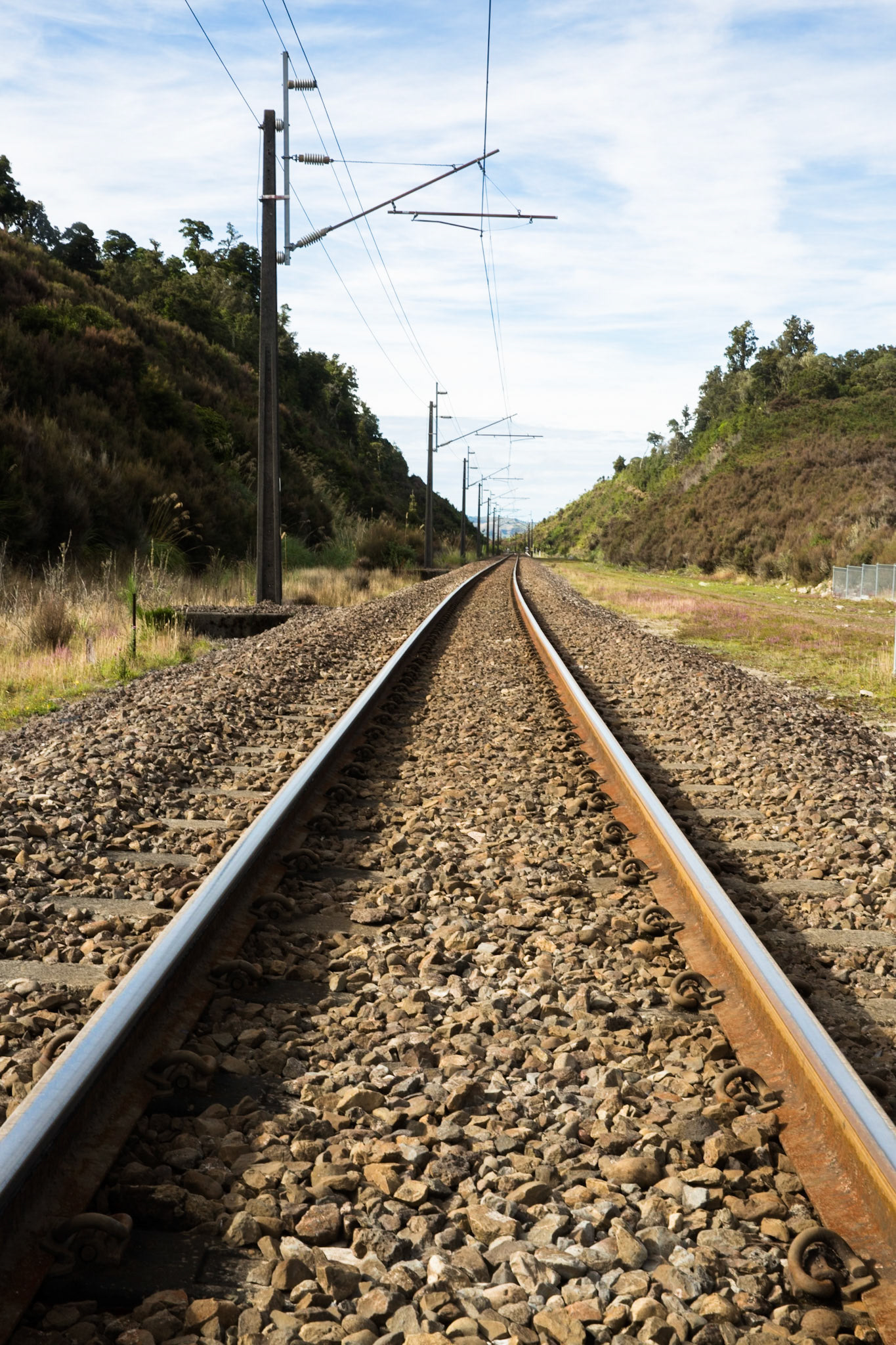 Old Coach Road, Tongariro, New Zealand