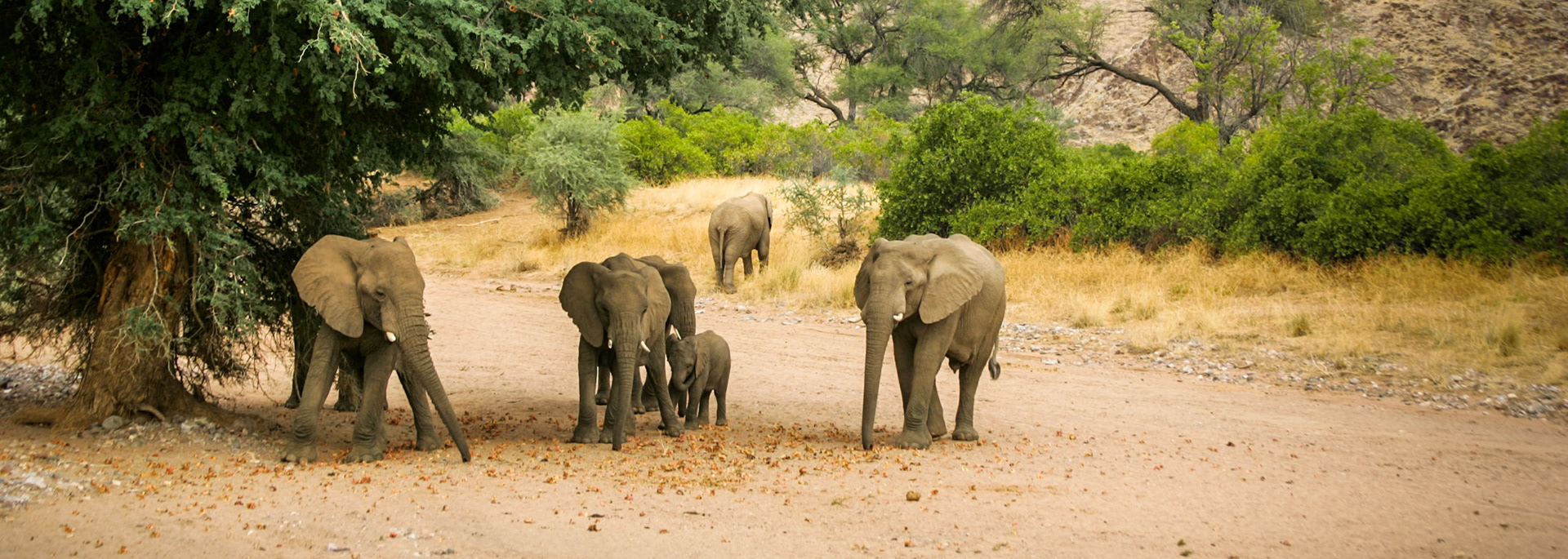 Swakopmund to Rhino Camp in Damaraland