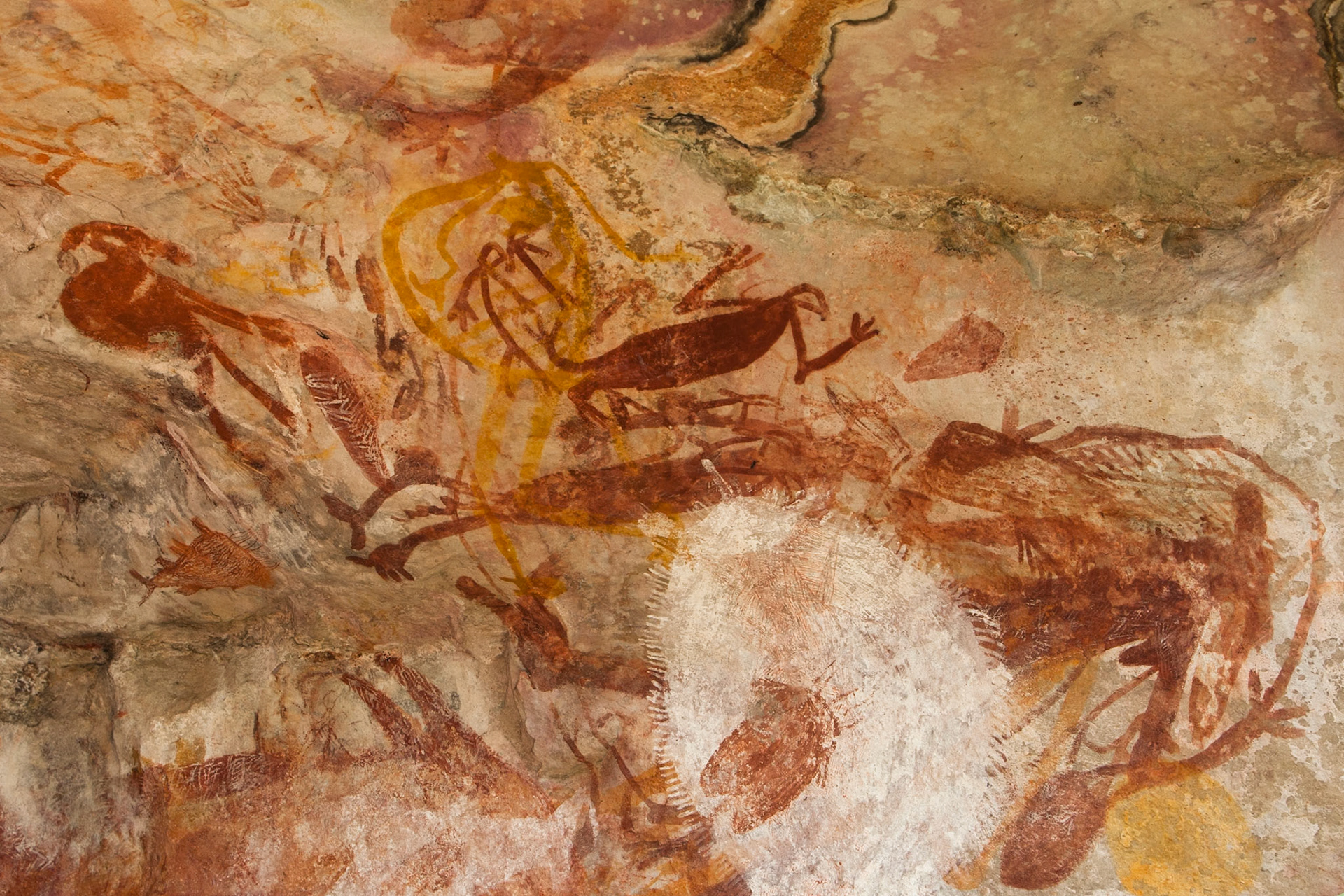 Rock-art figures and fish, Mount Borradale, Arnhemland, Northern Territory