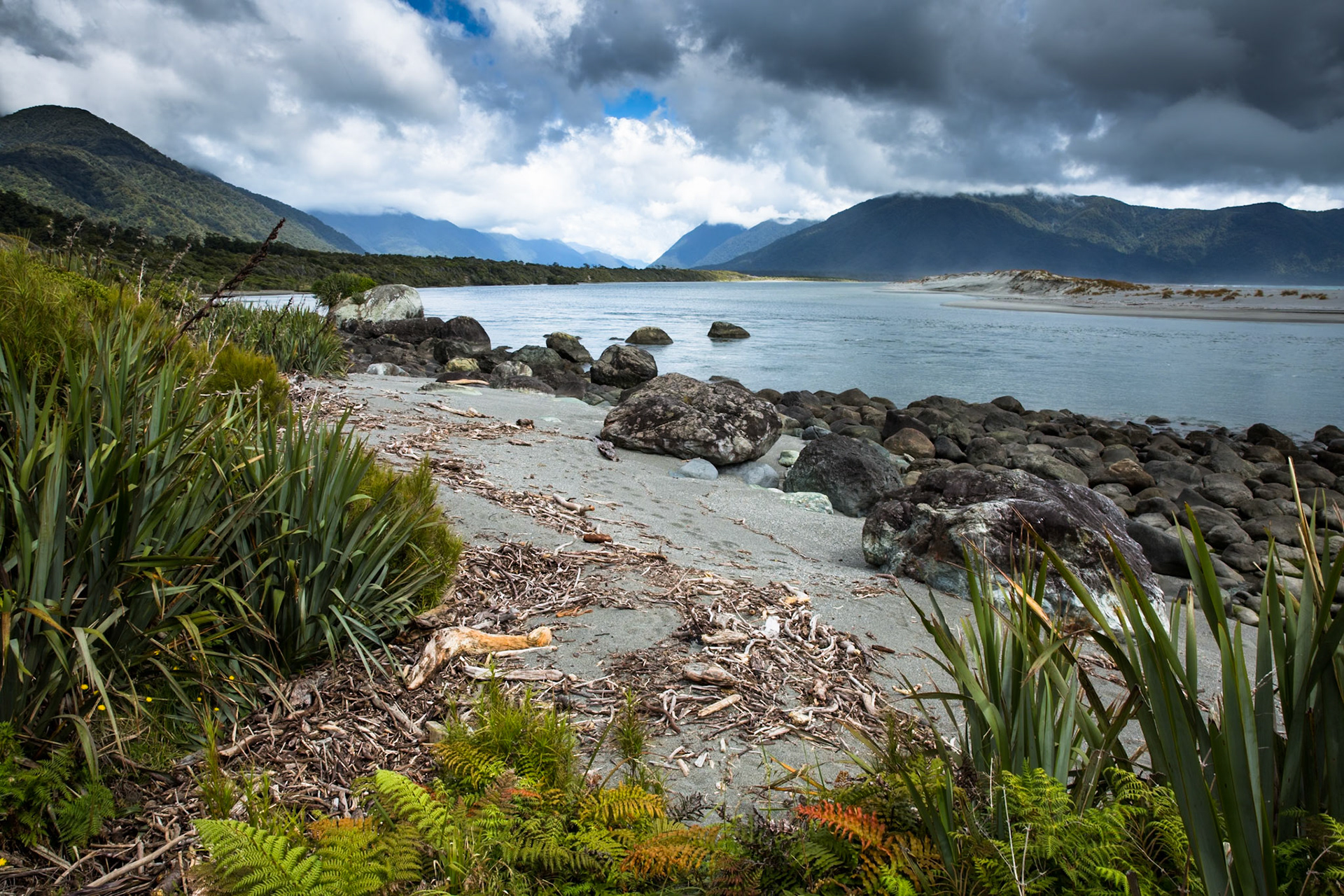 Longreef, Hollyford Track, Pyke Lodge to Martin's Bay, New Zealand