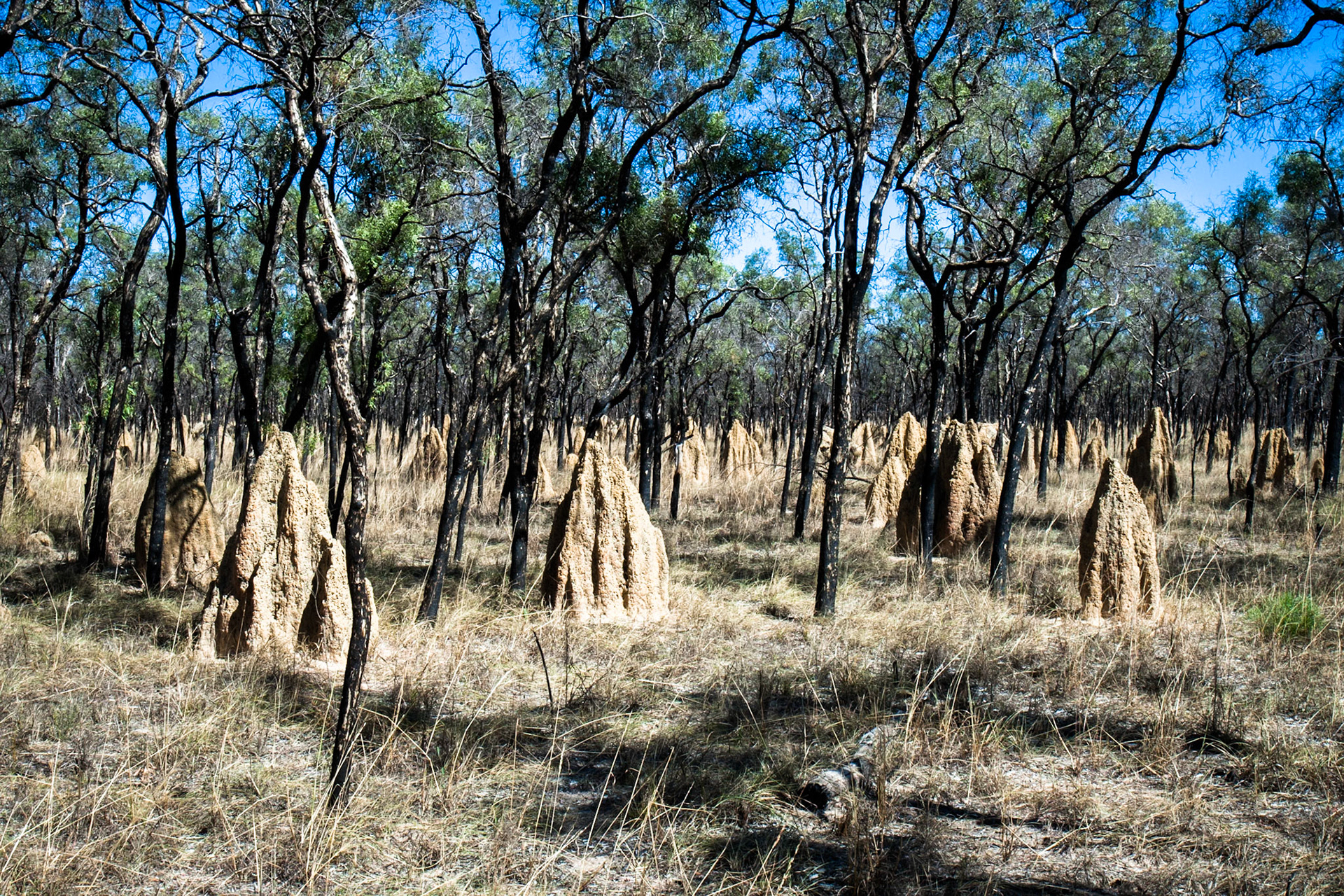 Broome, West Australia