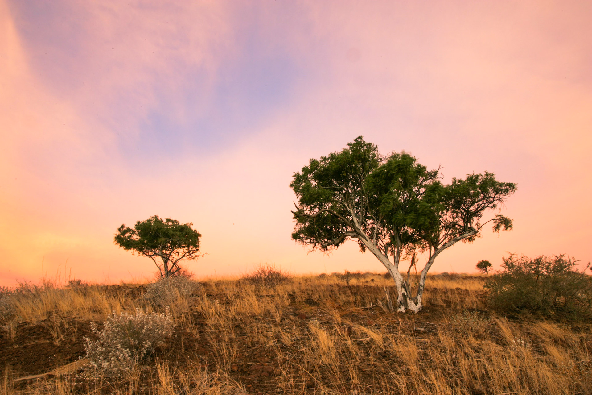 Swakopmund to Rhino Camp in Damaraland